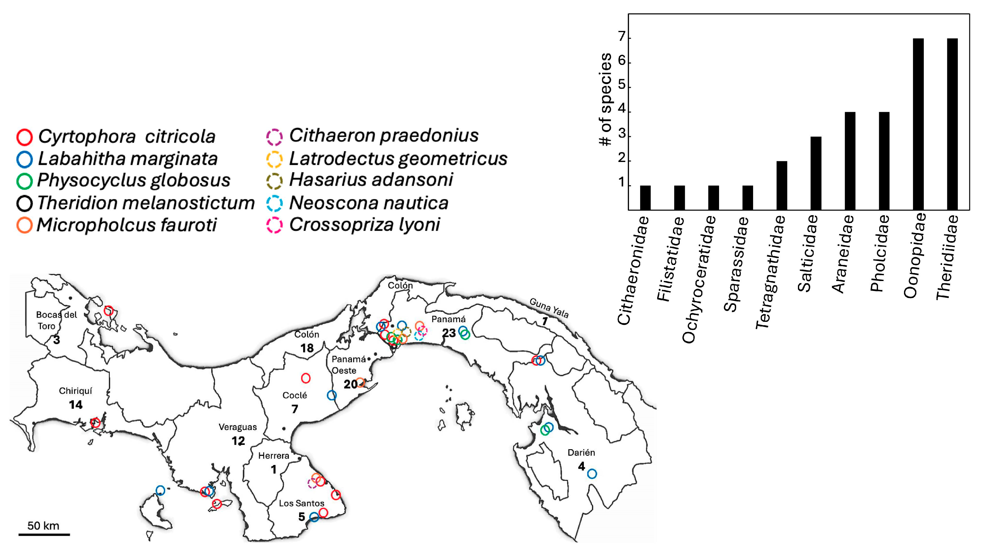 Biology 14 00004 g001