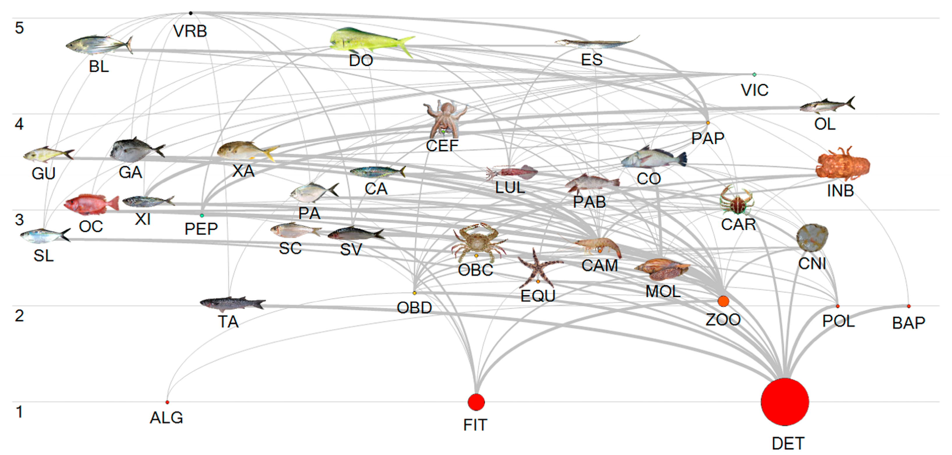 Biology 14 00013 g006 Biology 14 00013 g006