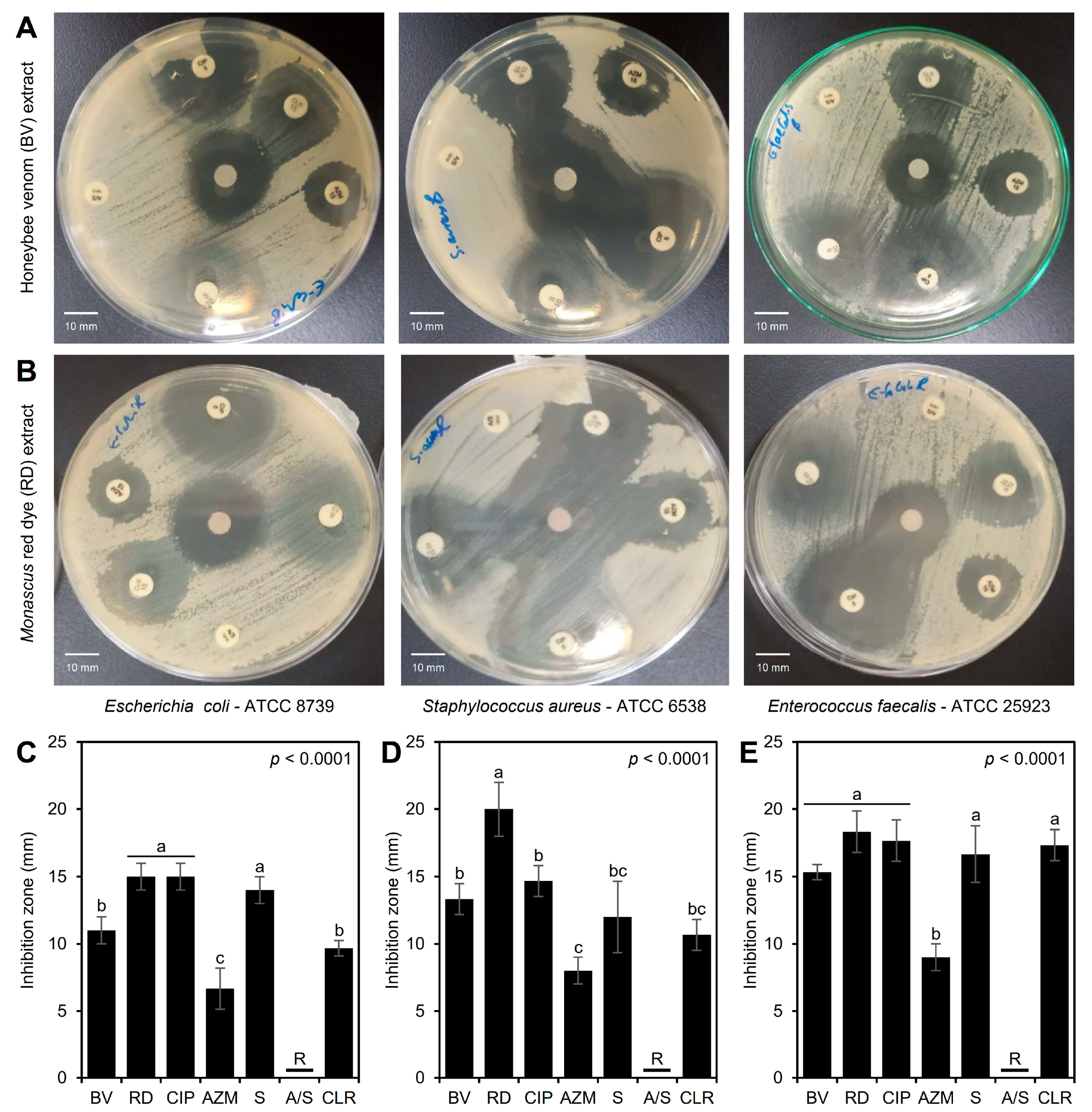 Biology 14 00021 g003