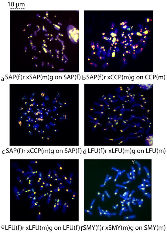 Biology 14 00022 g002