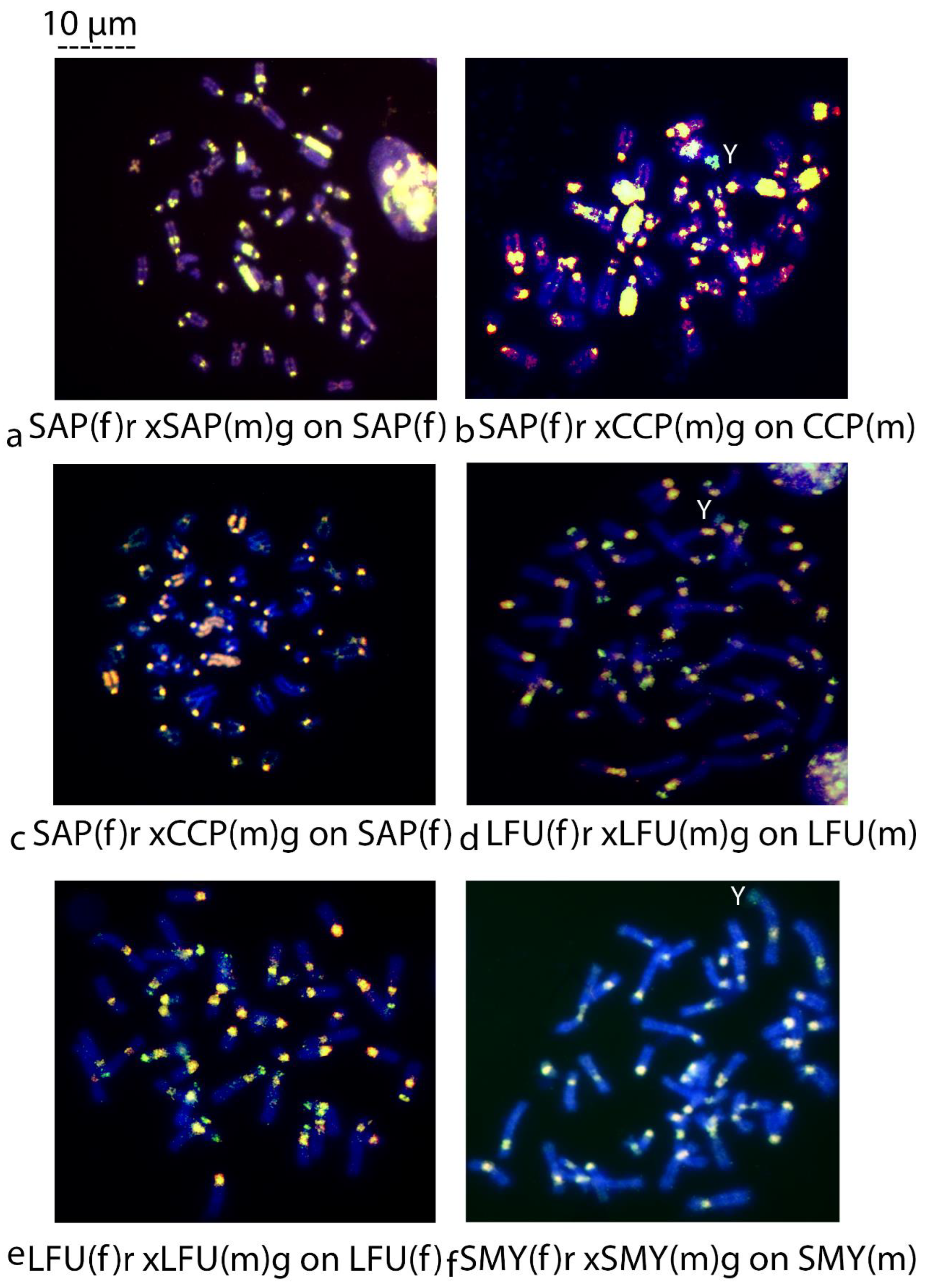 Biology 14 00022 g002