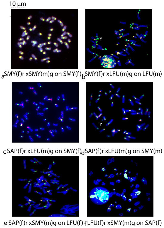 Biology 14 00022 g003