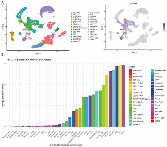 Biology 14 00026 g002
