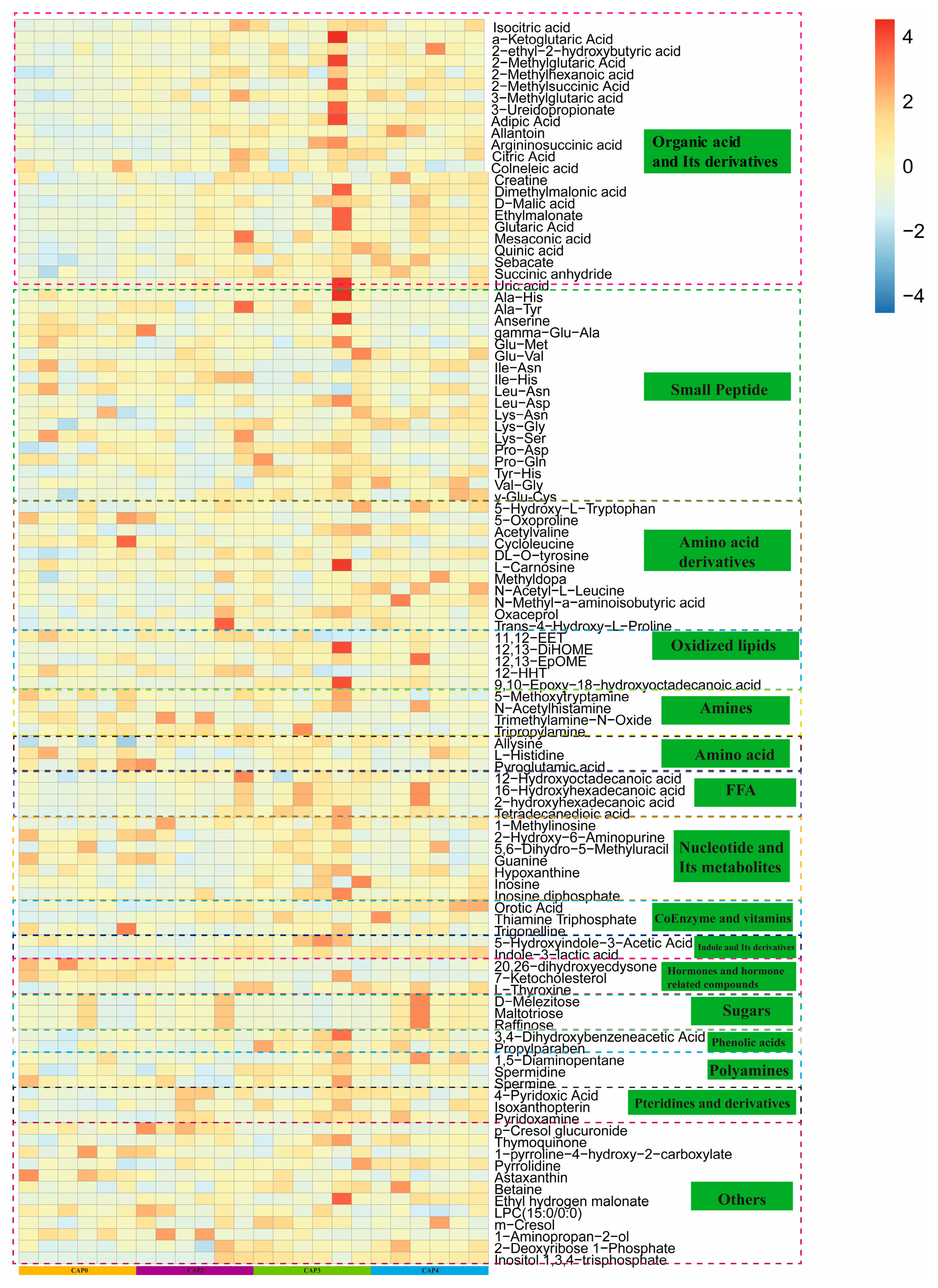 Biology 14 00029 g004