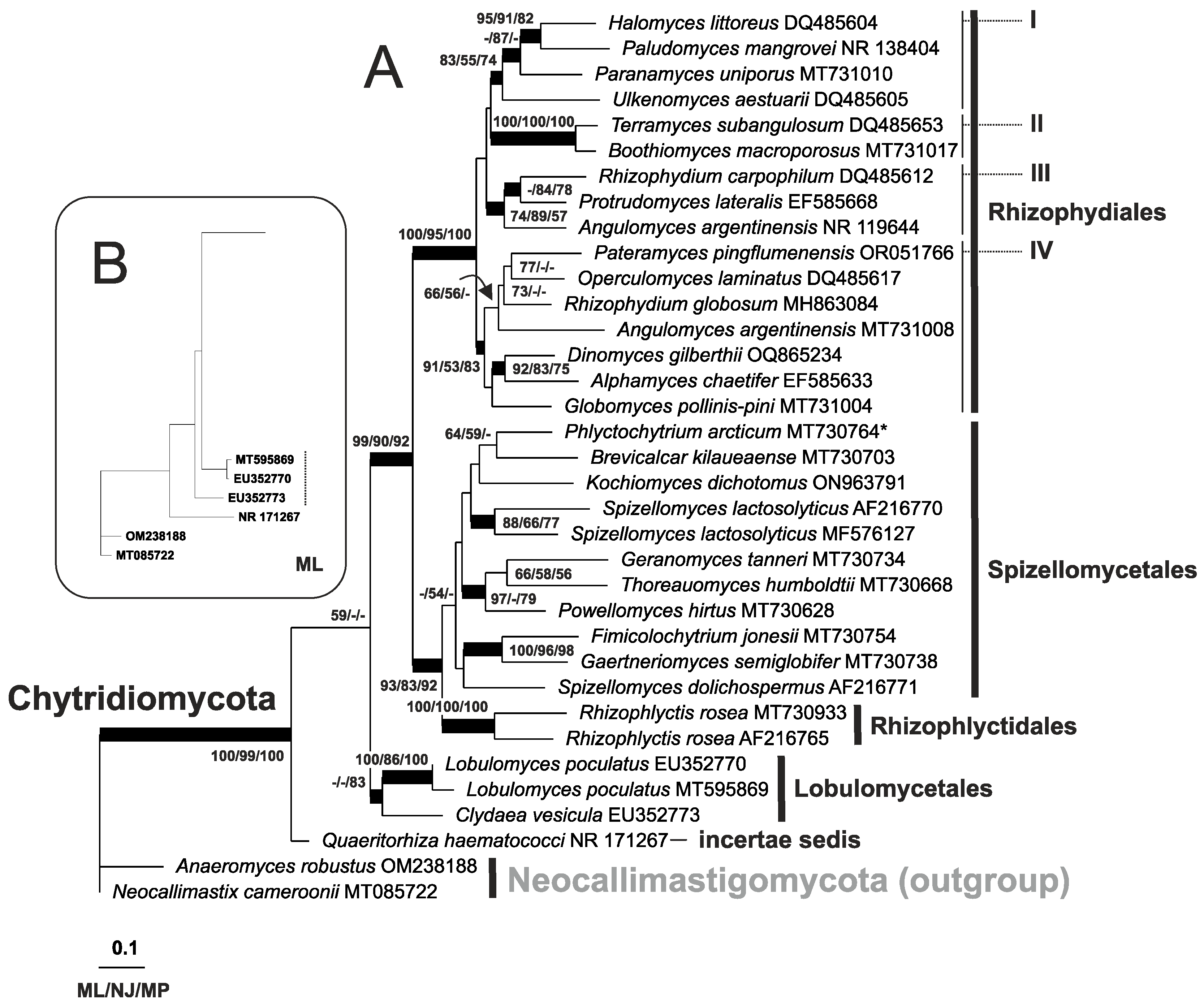 Biology 14 00036 g004