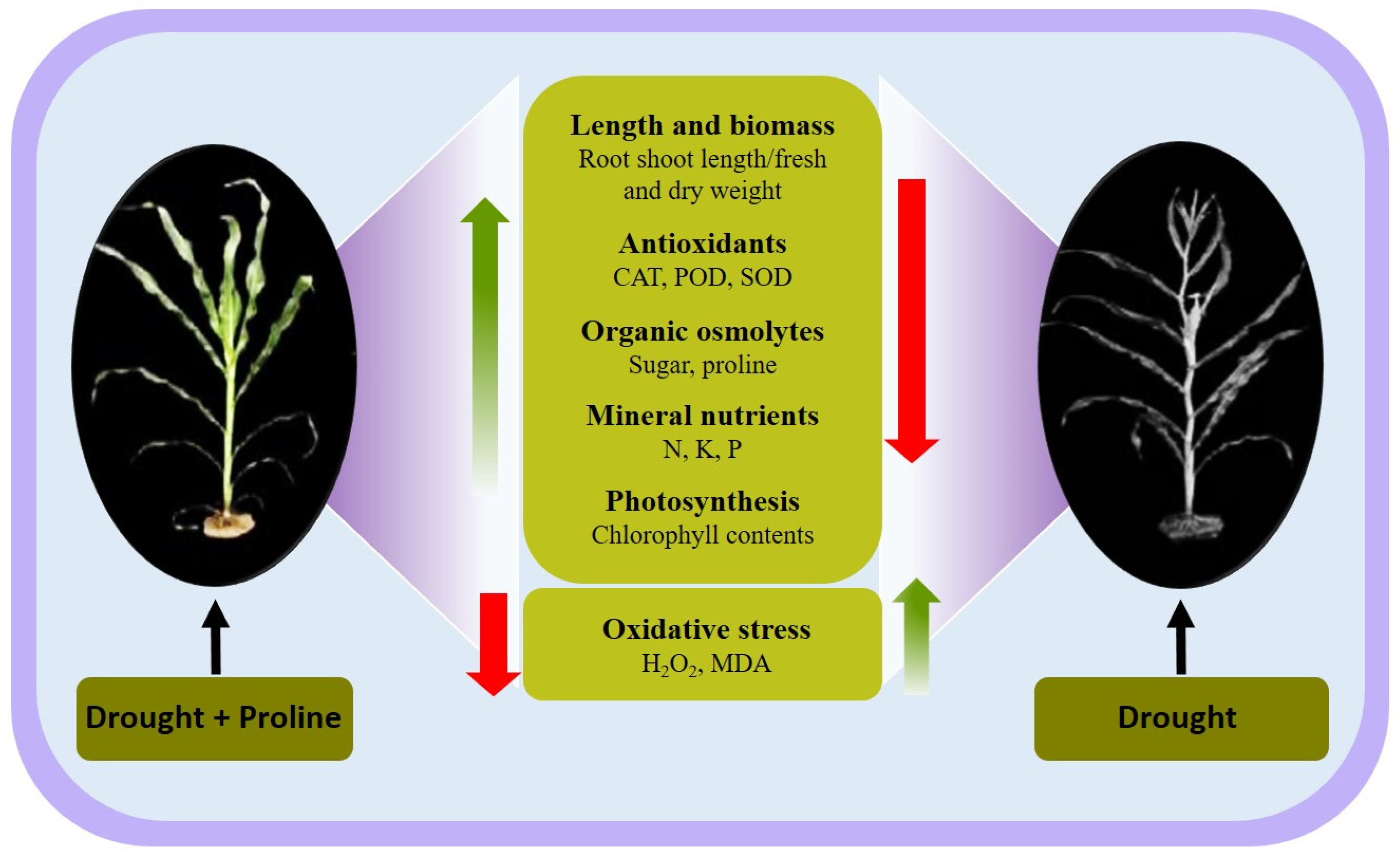 Biology 14 00041 g006