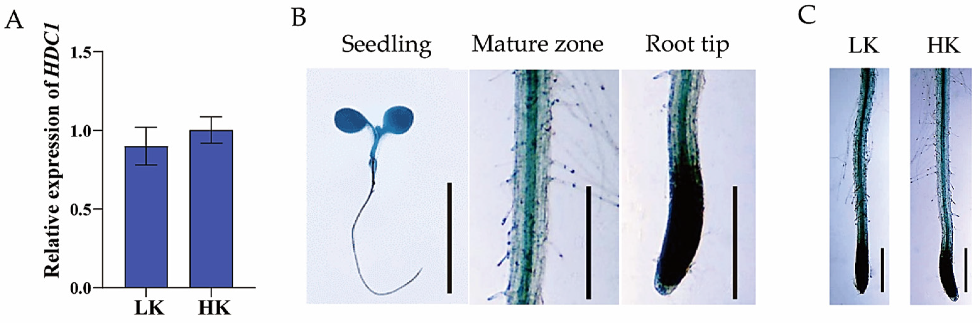 Biology 14 00057 g005 Biology 14 00057 g005