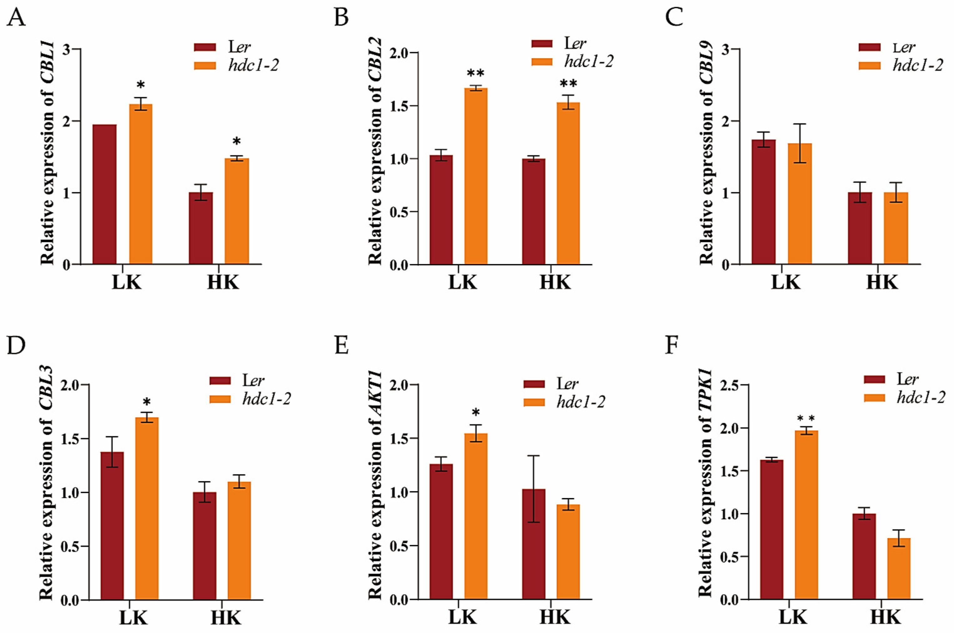 Biology 14 00057 g009 Biology 14 00057 g009