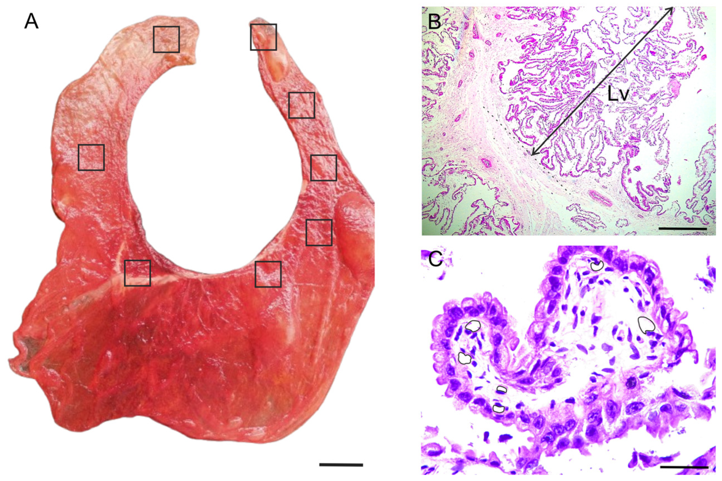 Biology 14 00064 g001