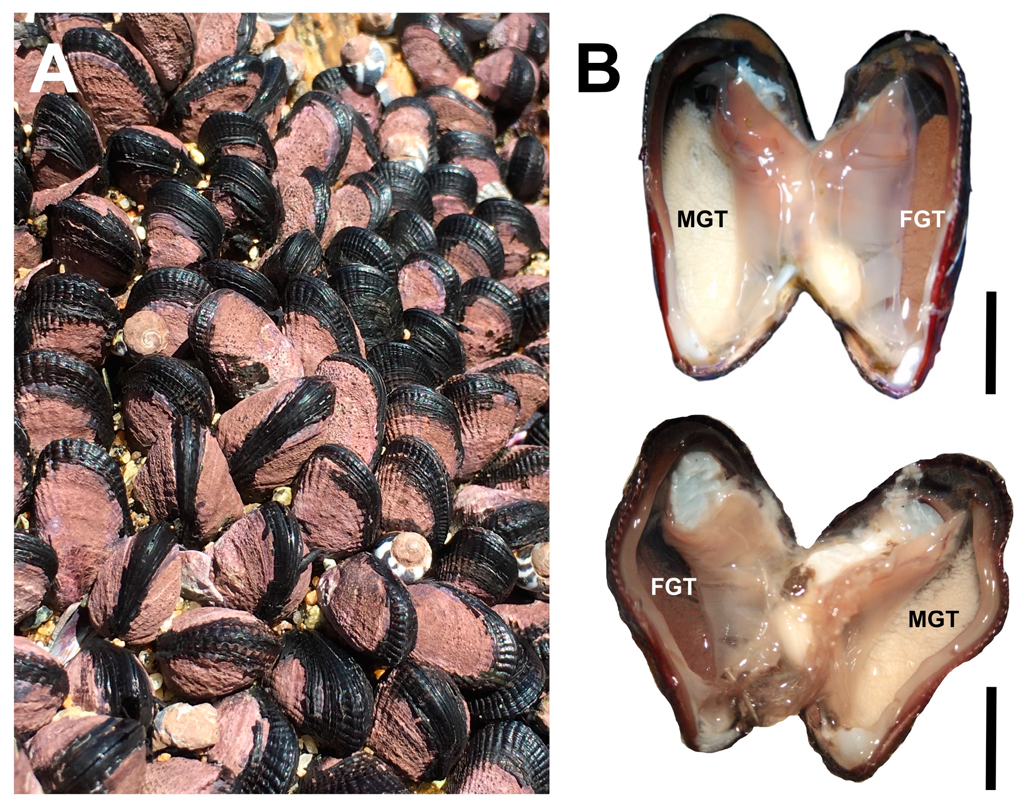 Biology 14 00070 g002