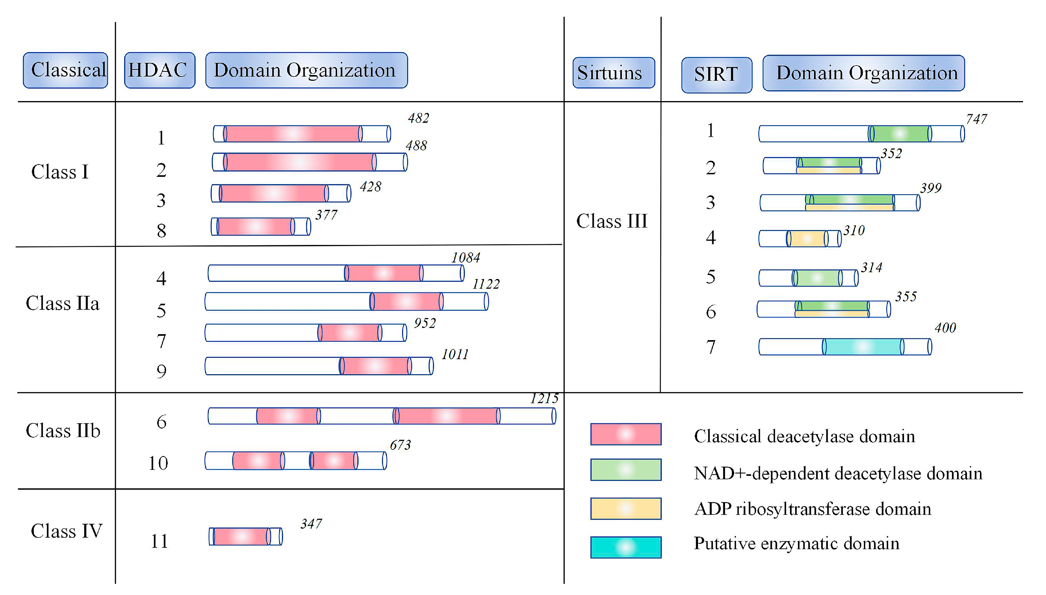 Biology 14 00071 g002