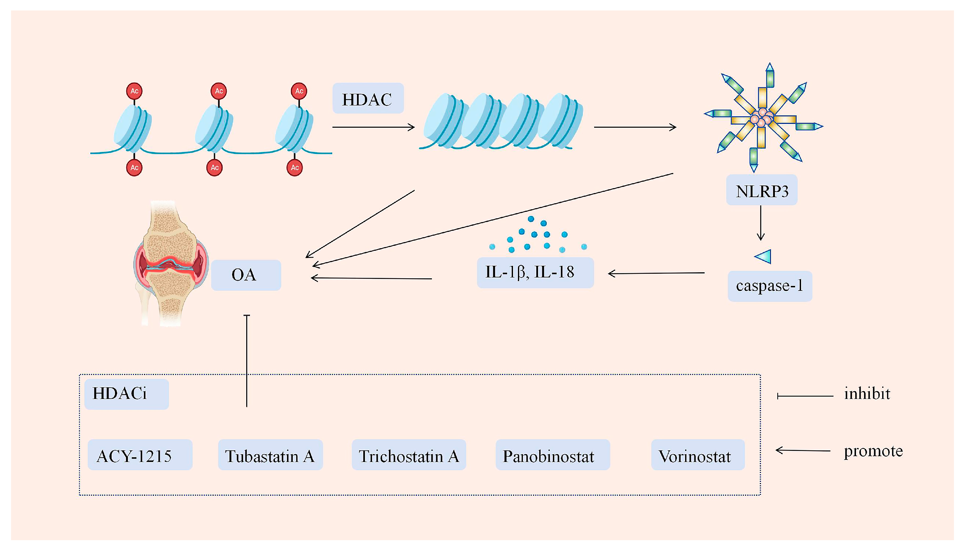 Biology 14 00071 g003