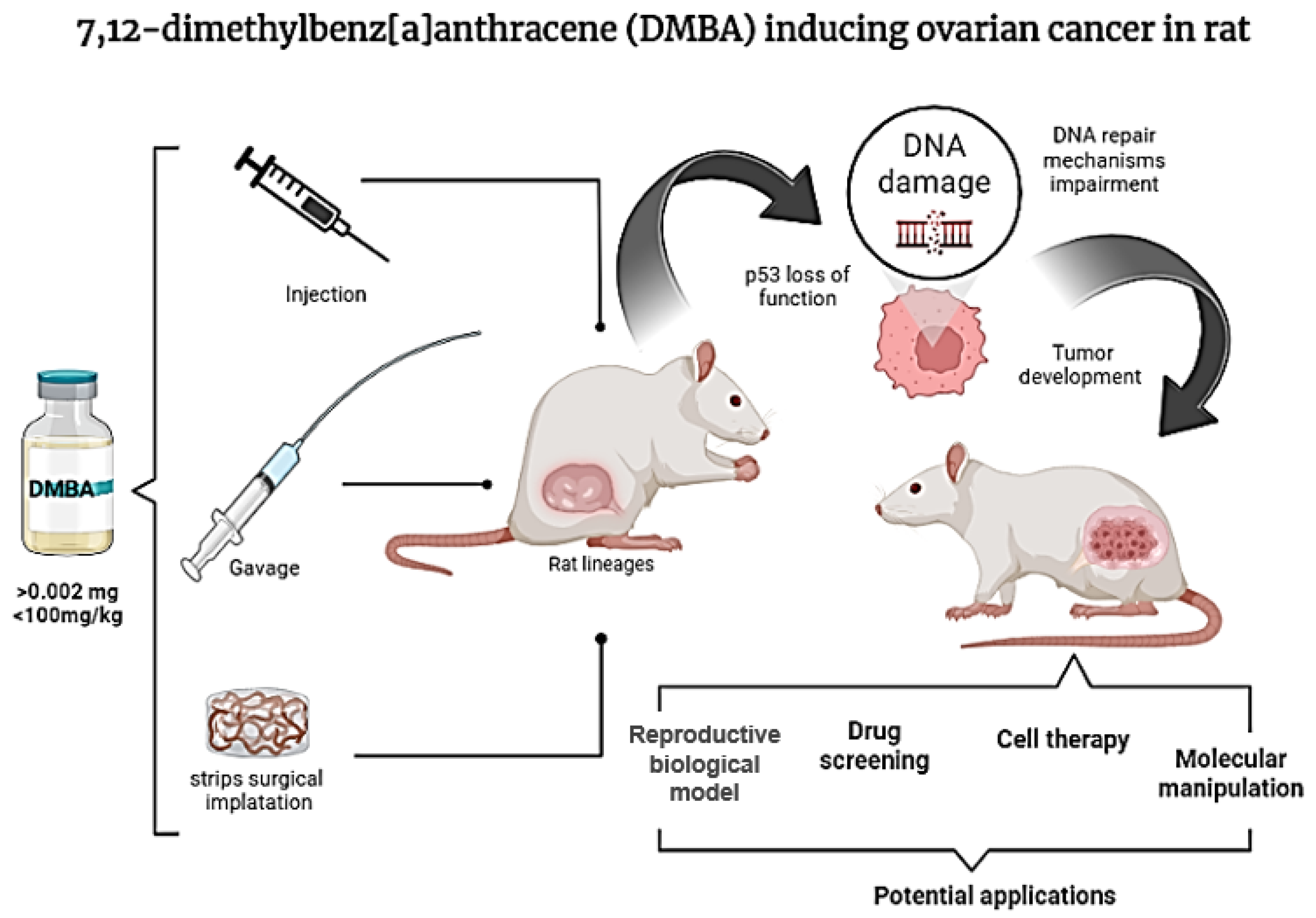 Biology 14 00073 g001