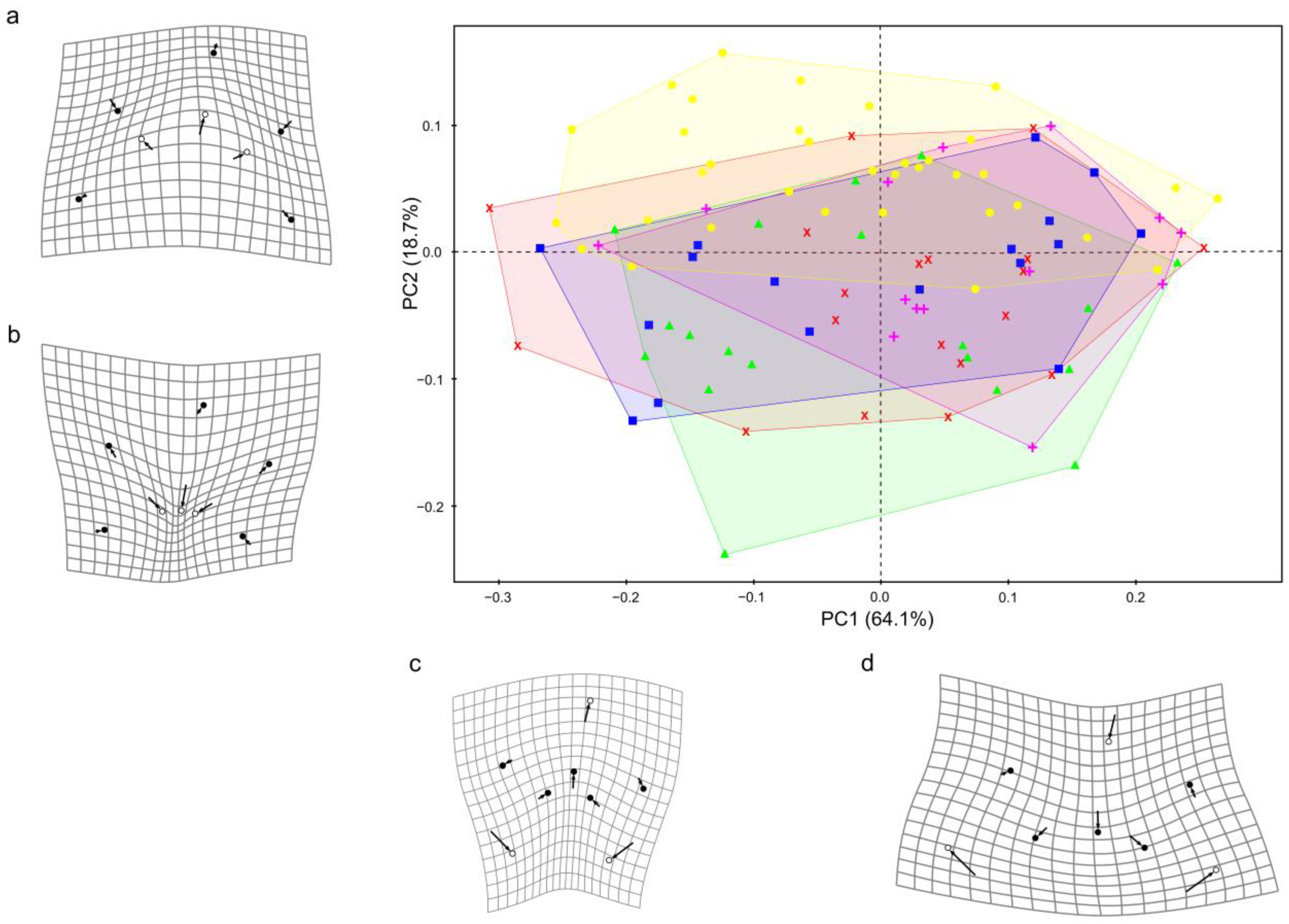 Biology 14 00079 g003