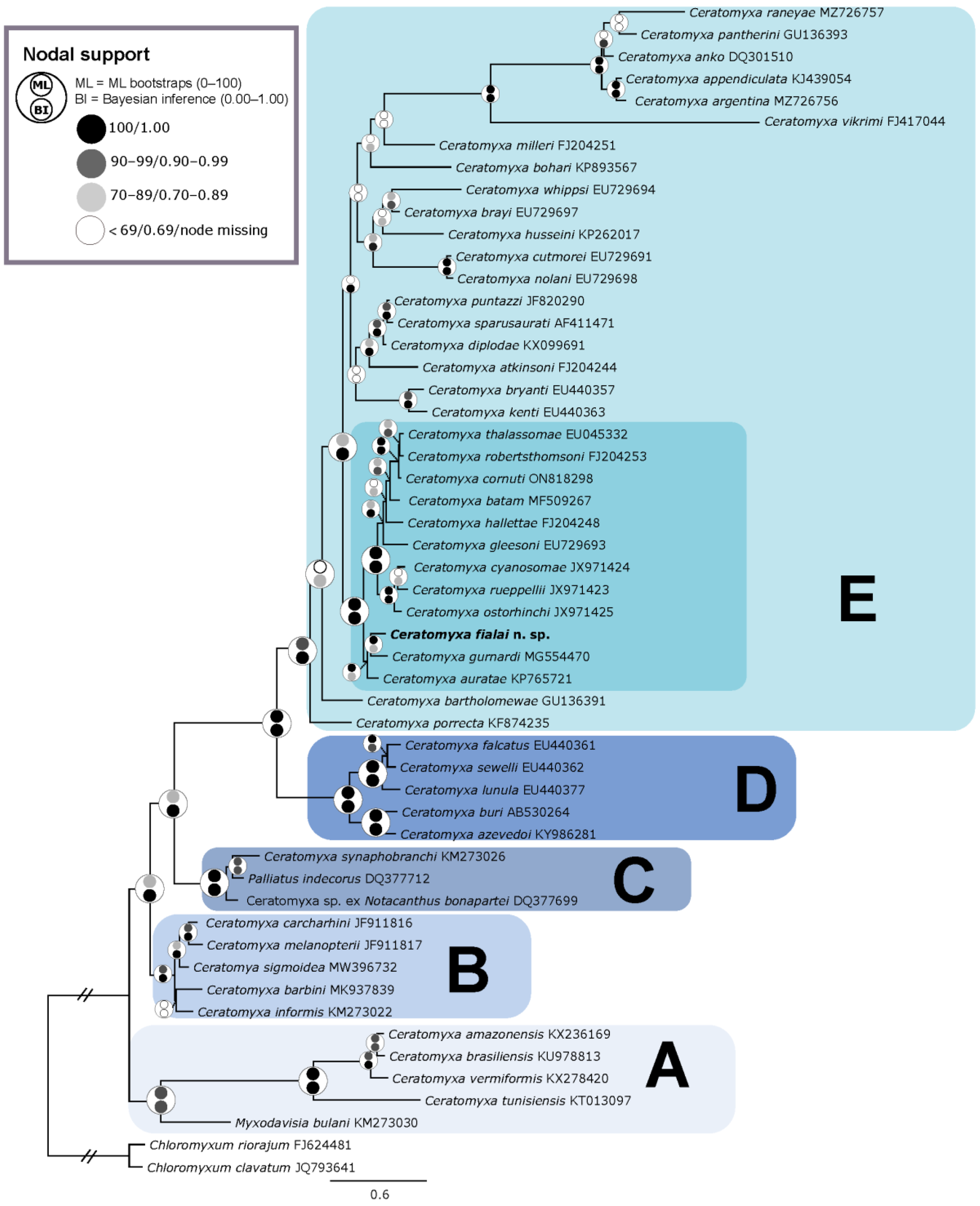 Biology 14 00079 g004