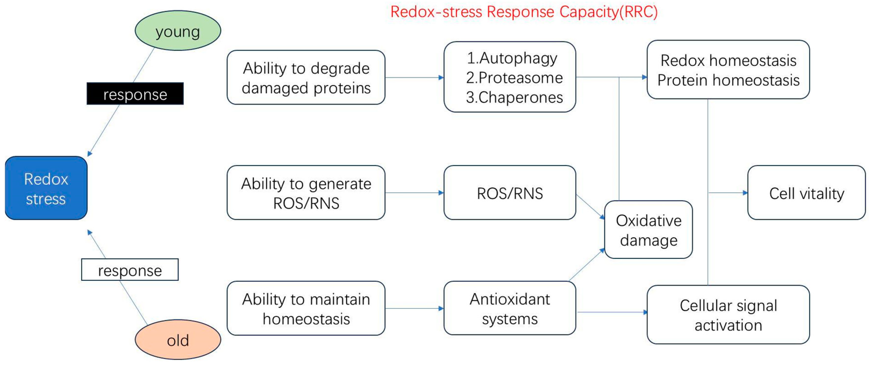 Biology 14 00087 g001 Biology 14 00087 g001