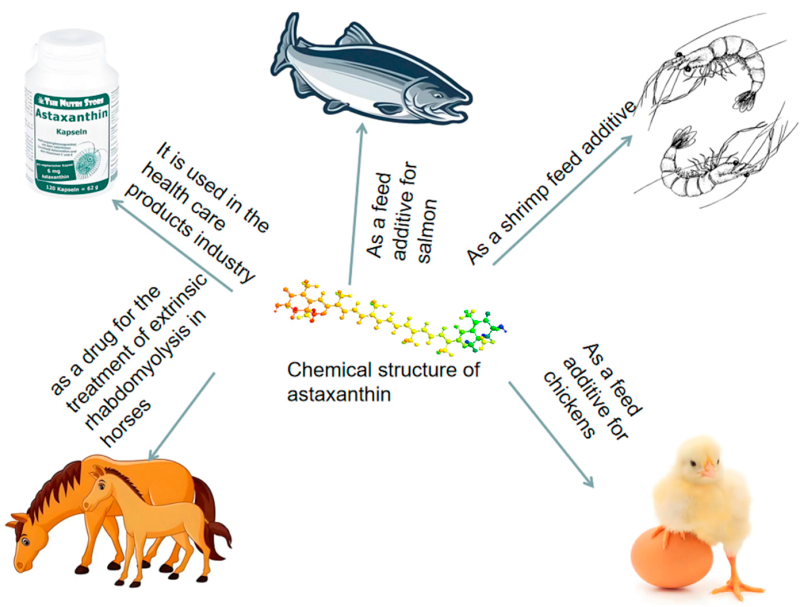 Biology 14 00087 g002 Biology 14 00087 g002