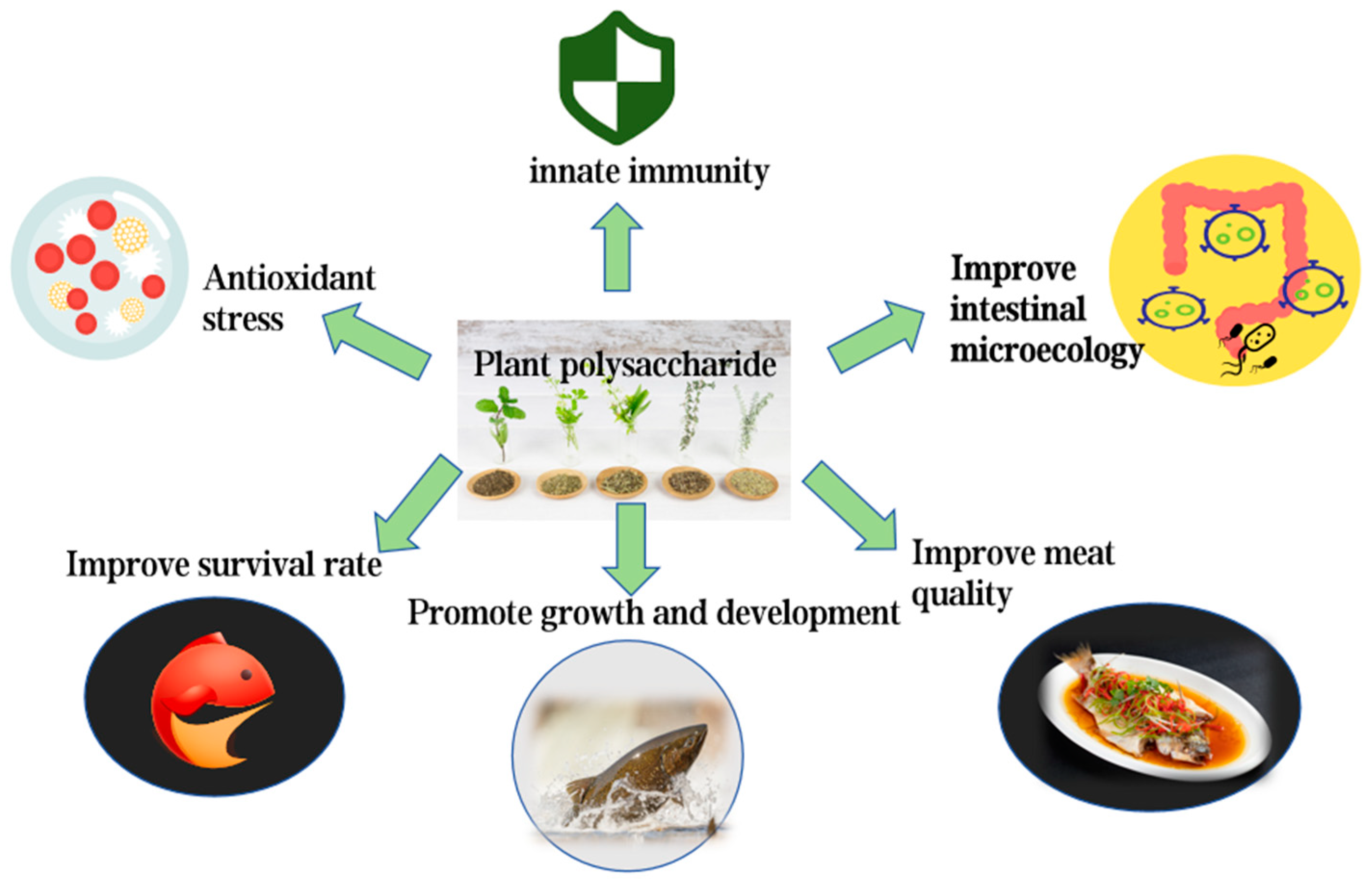 Biology 14 00087 g004 Biology 14 00087 g004