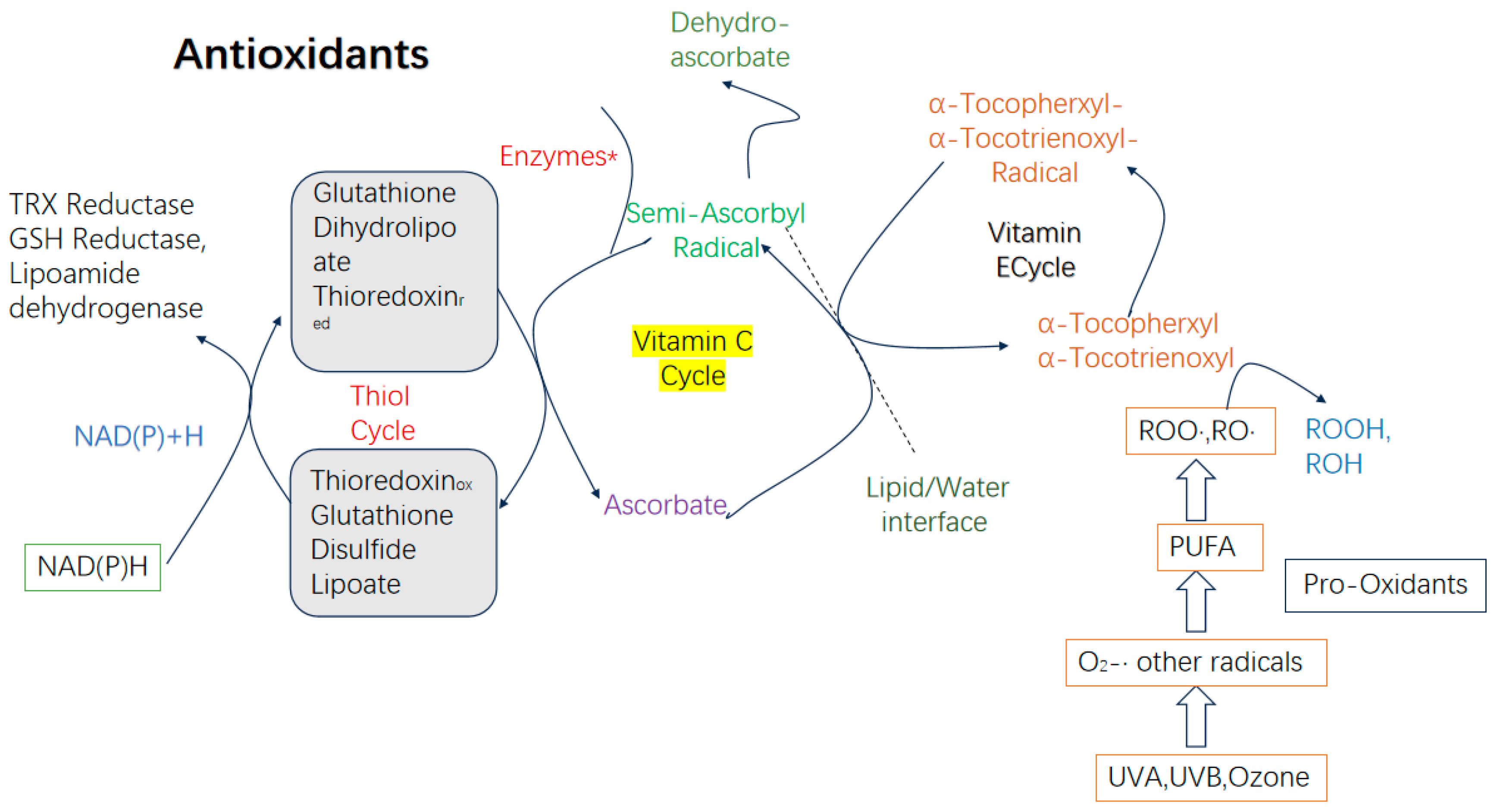 Biology 14 00087 g005 Biology 14 00087 g005