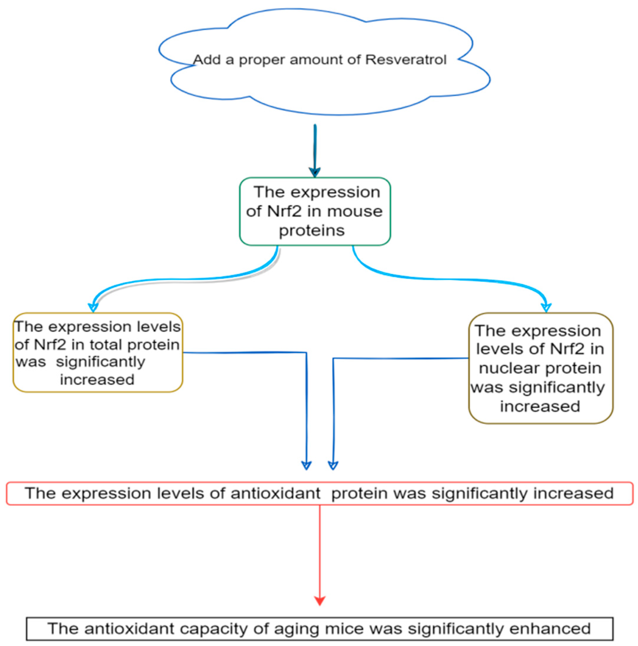 Biology 14 00087 g007 Biology 14 00087 g007