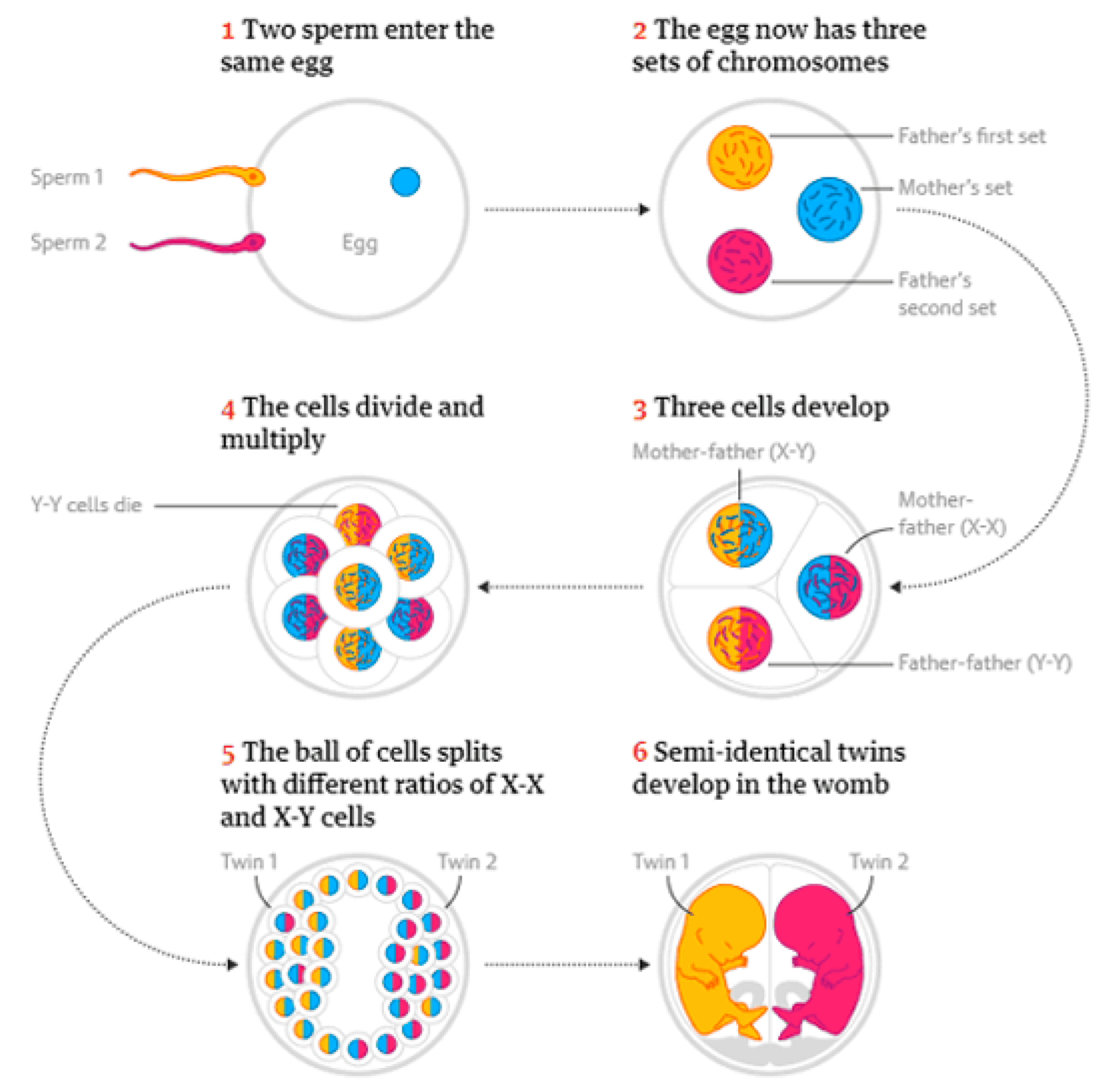 Biology 14 00104 g002