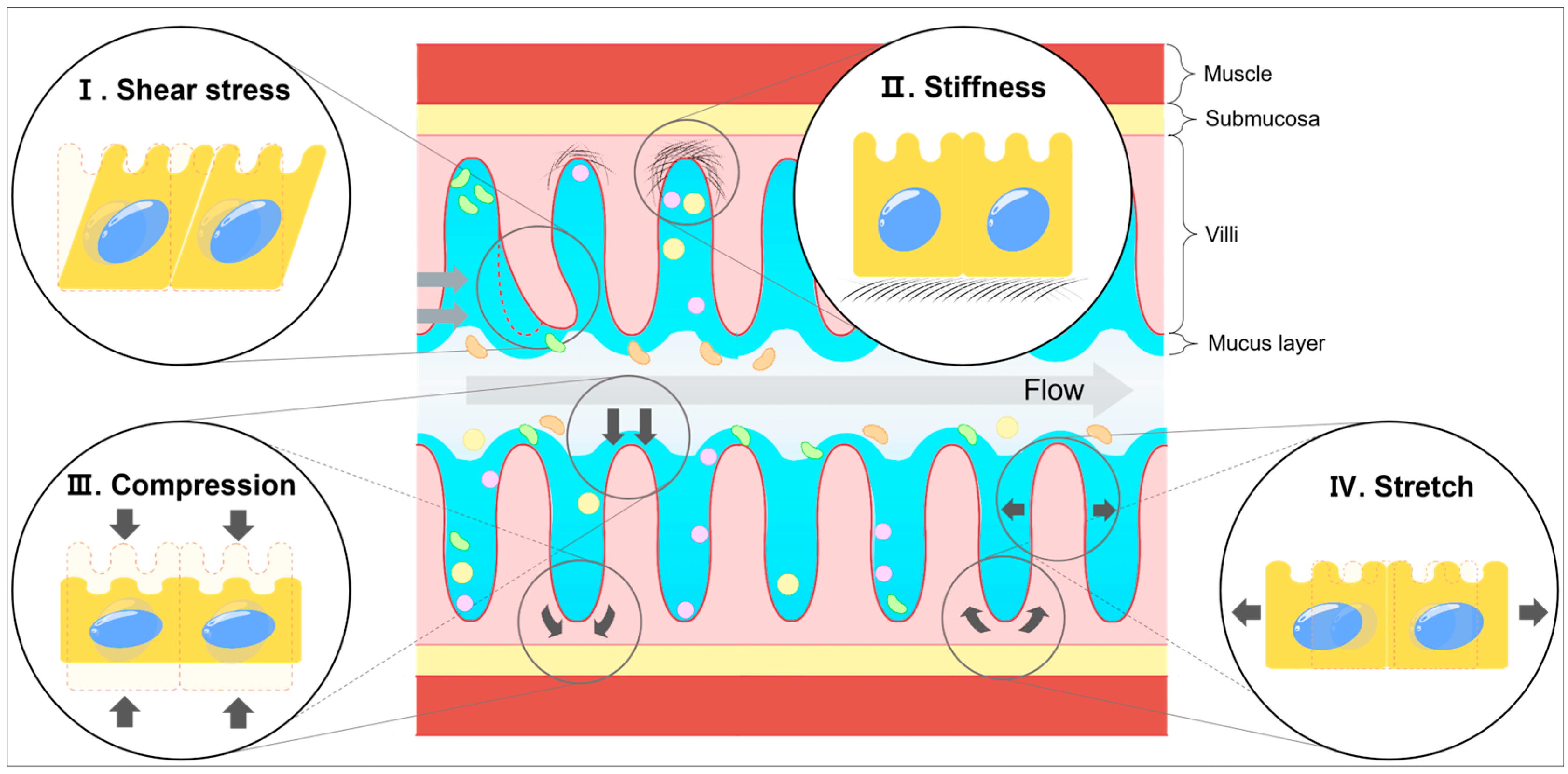 Biology 14 00110 g001