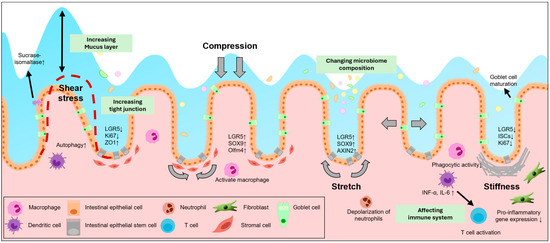 Biology 14 00110 g002