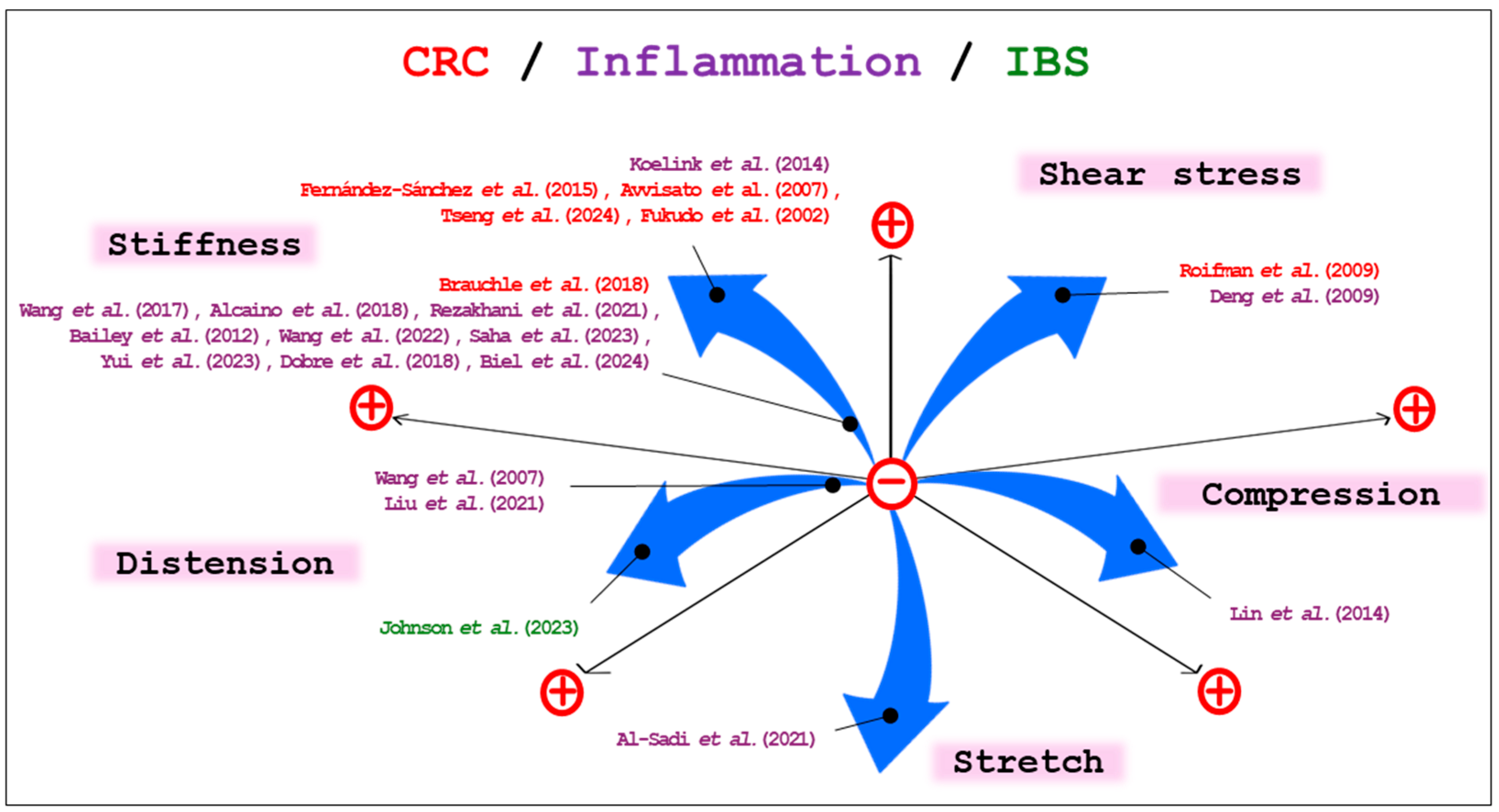 Biology 14 00110 g003