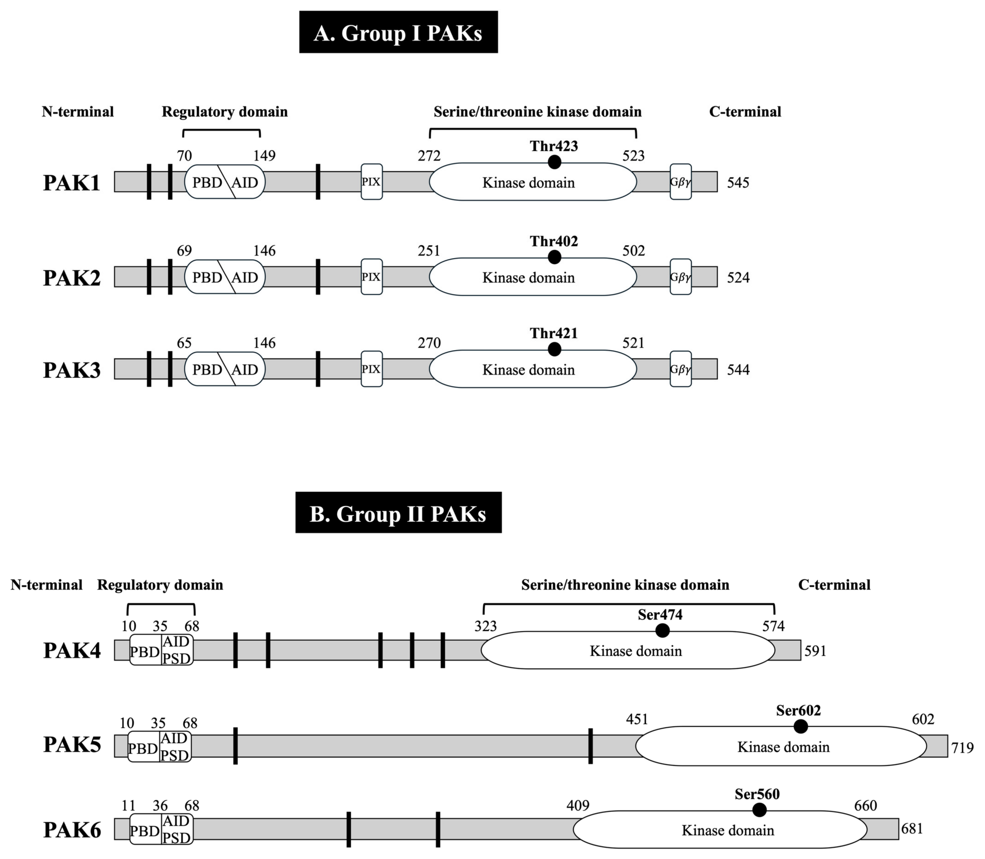 Biology 14 00113 g001
