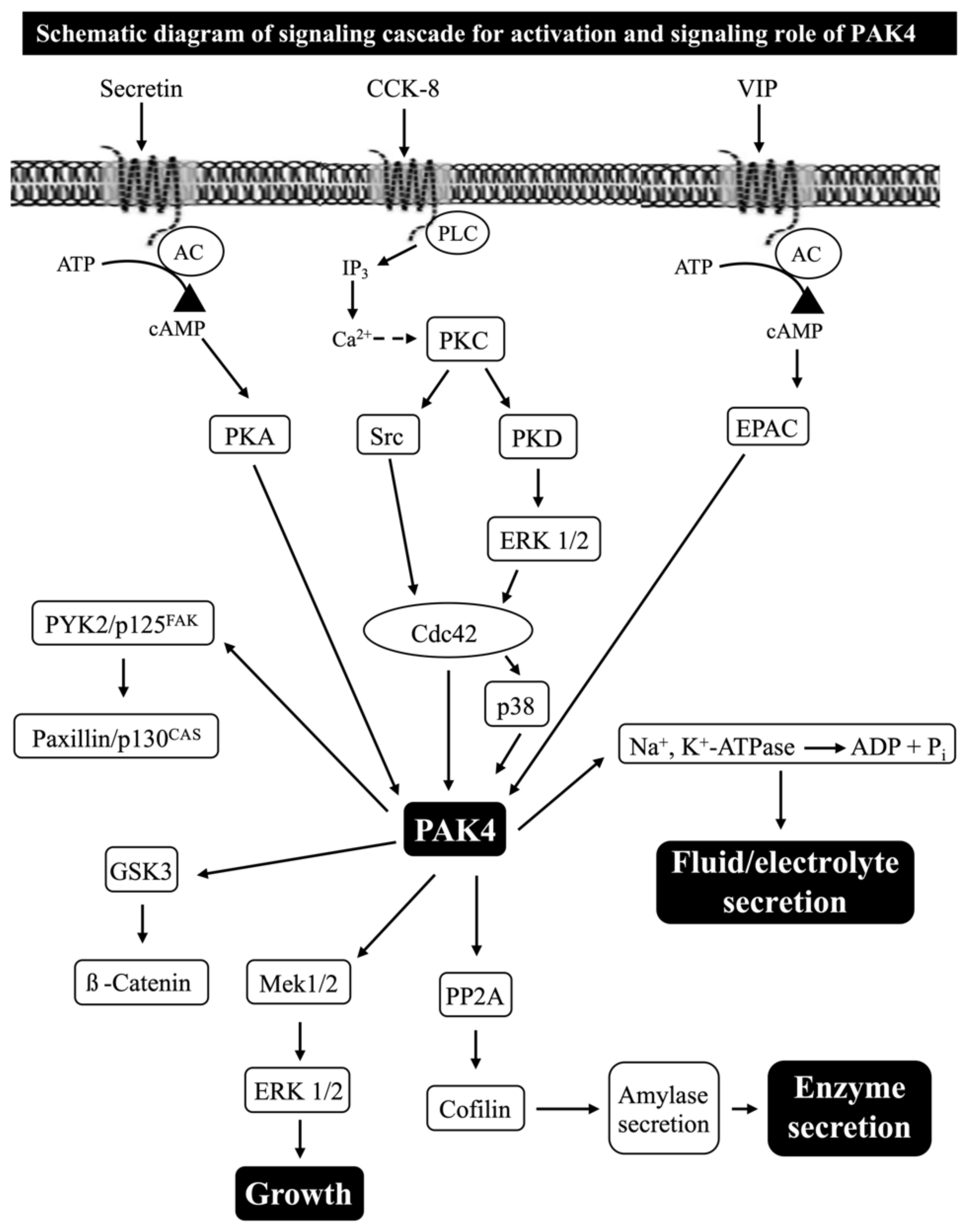 Biology 14 00113 g005