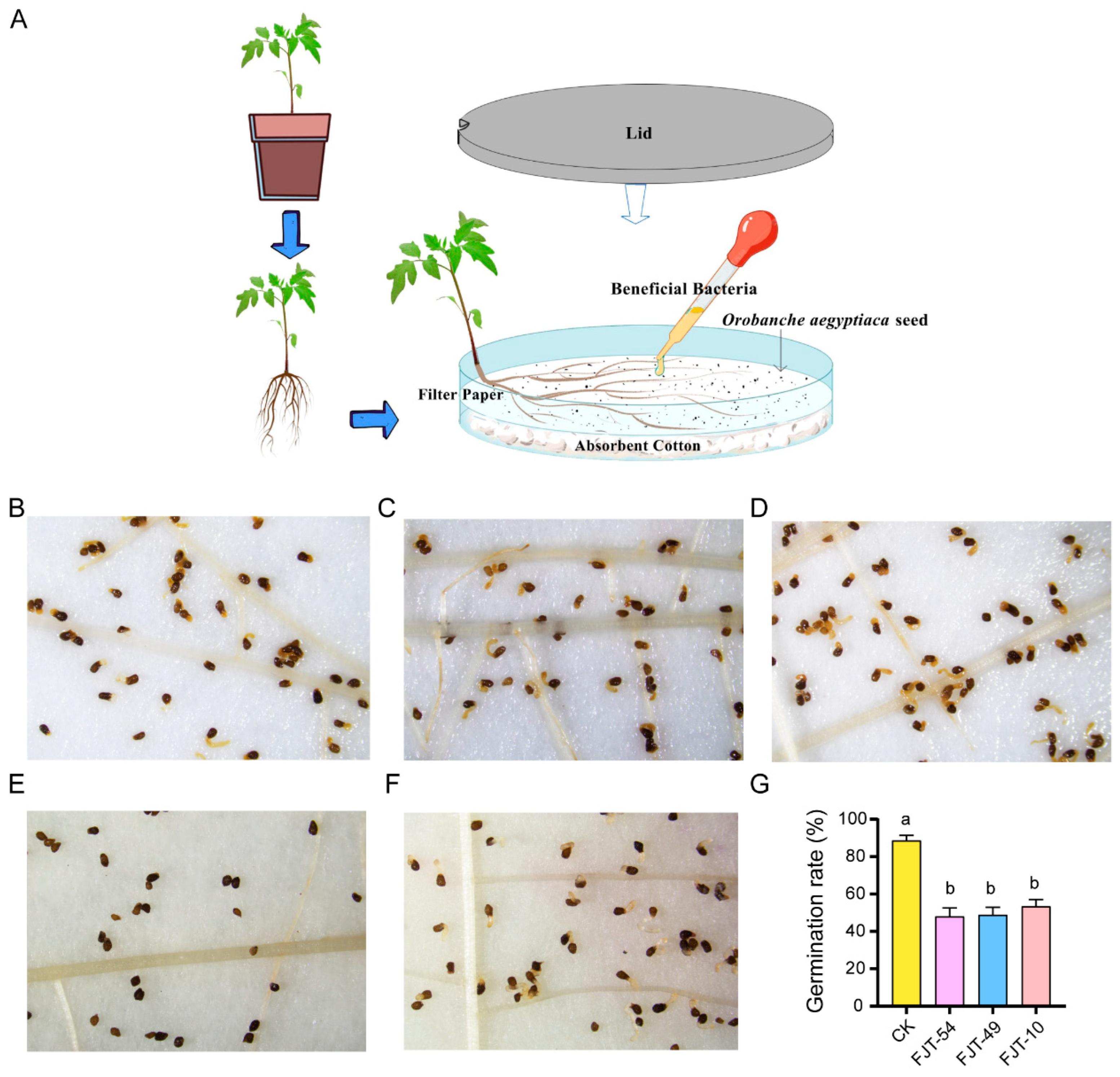 Biology 14 00116 g005