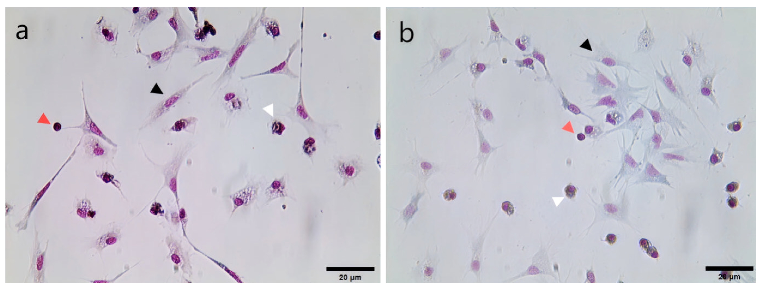 Biology 14 00121 g001
