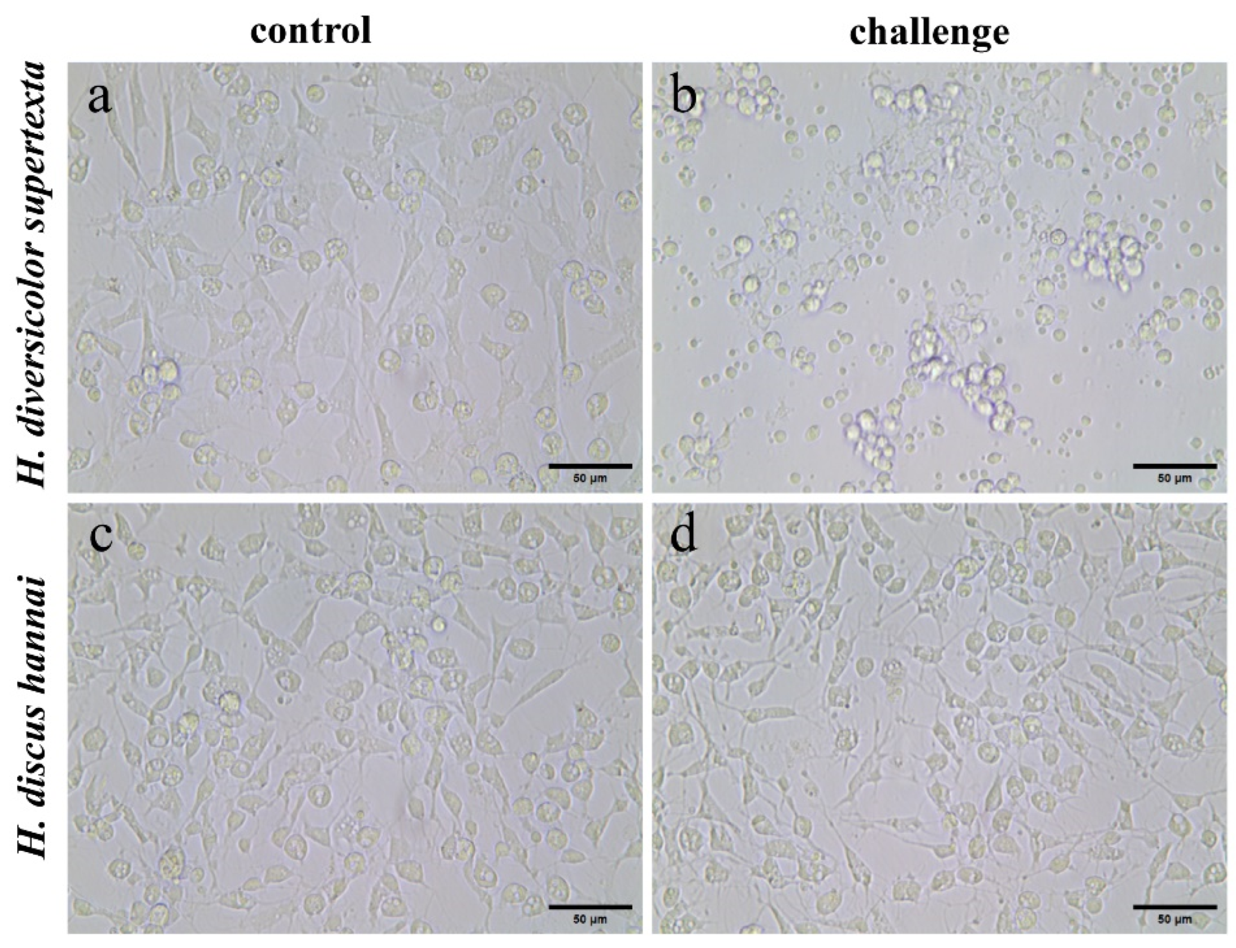 Biology 14 00121 g002
