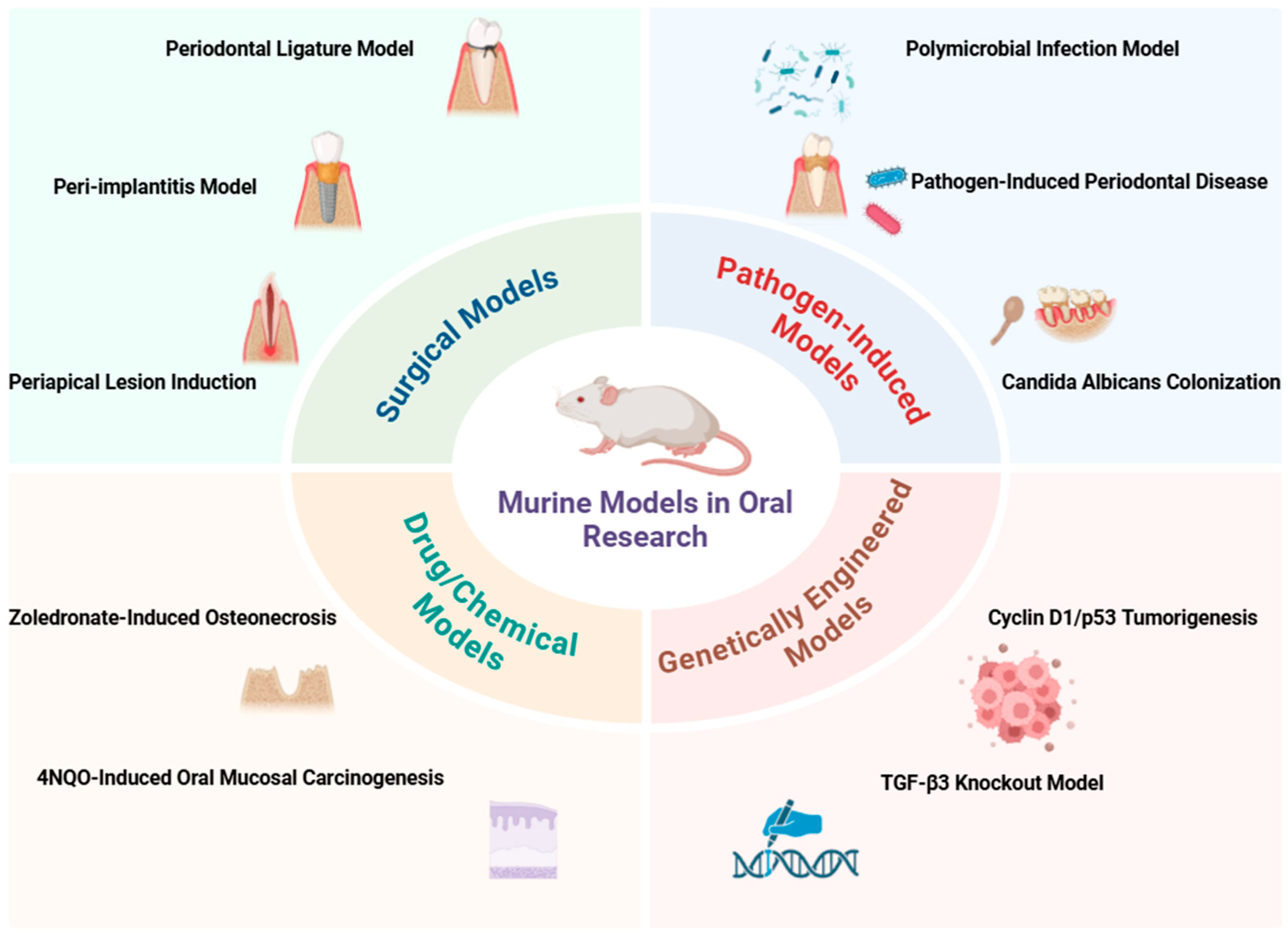 Biology 14 00127 g001