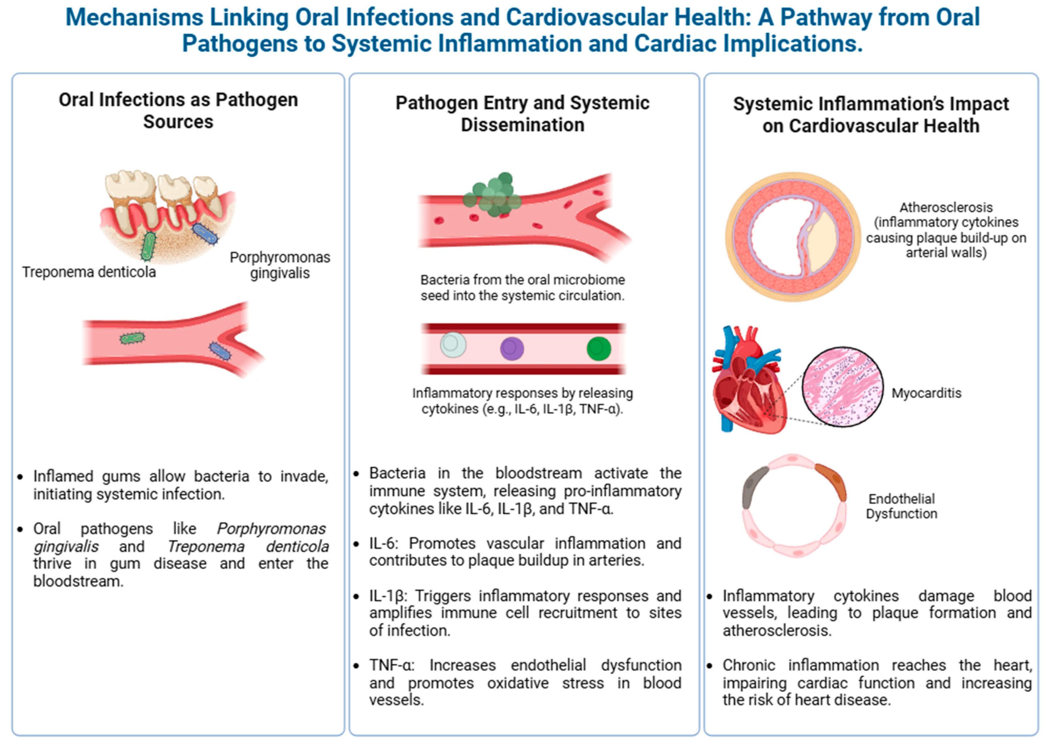 Biology 14 00127 g002