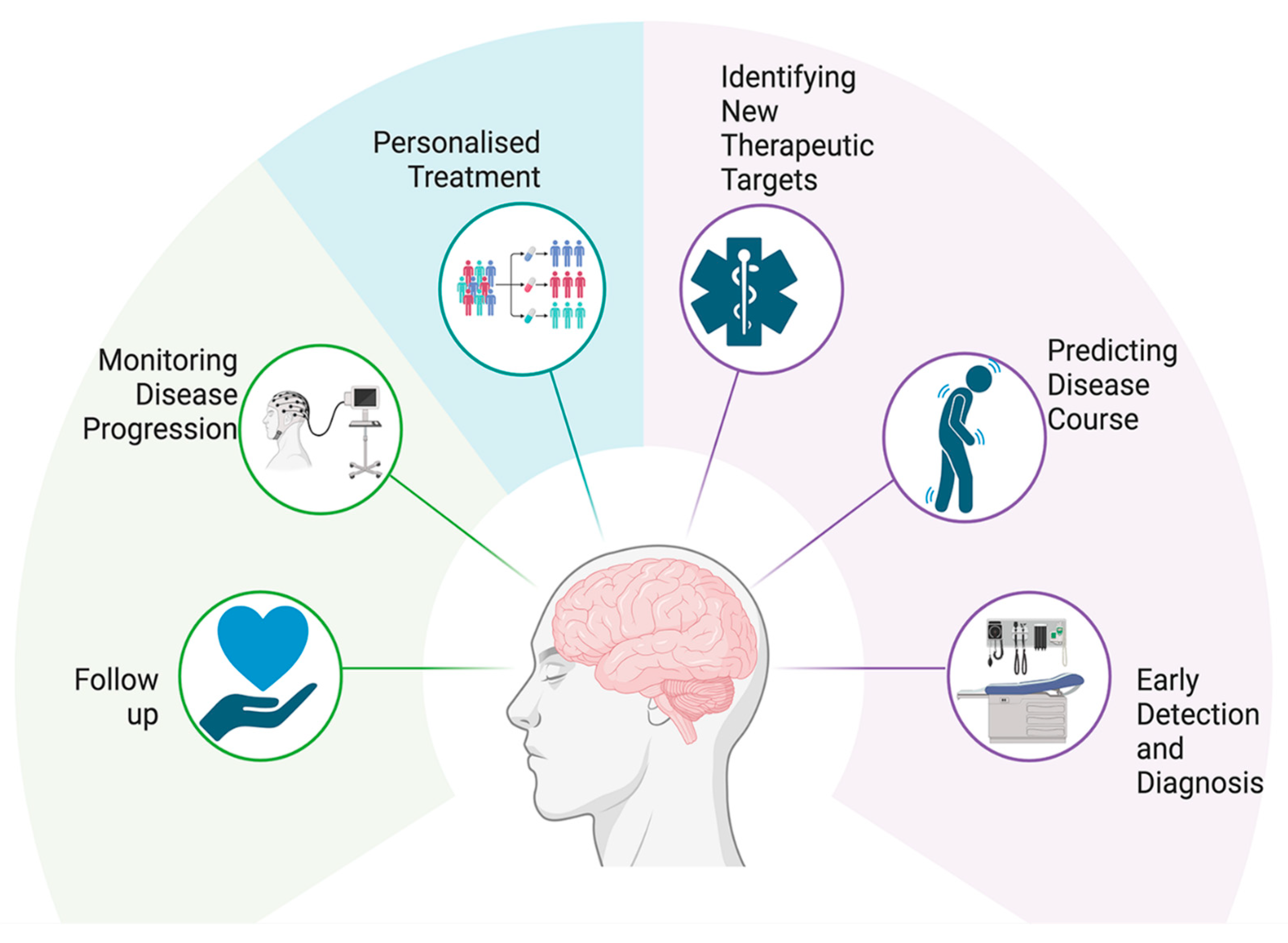 Biology 14 00129 g007