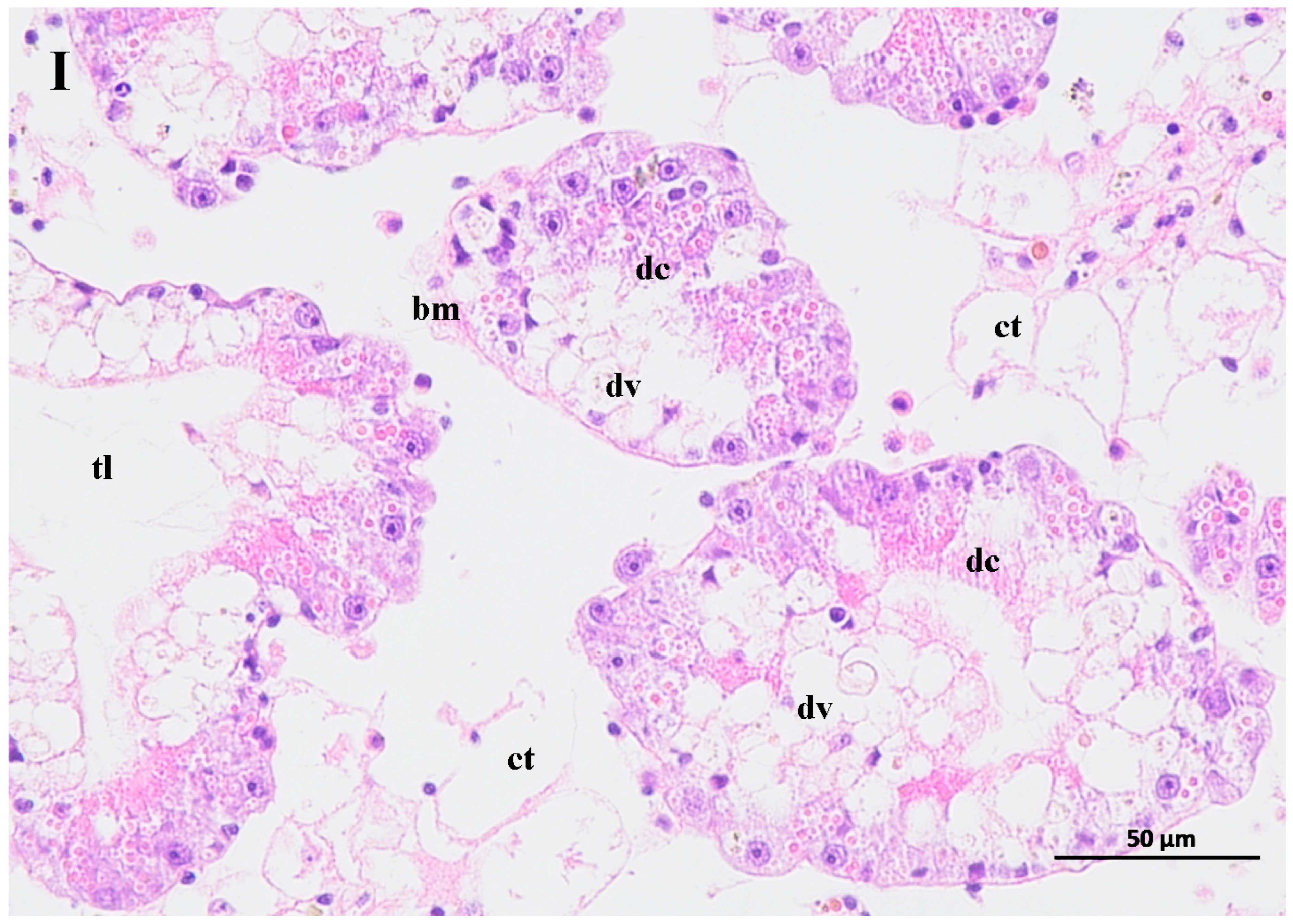 Biology 14 00141 g006a
