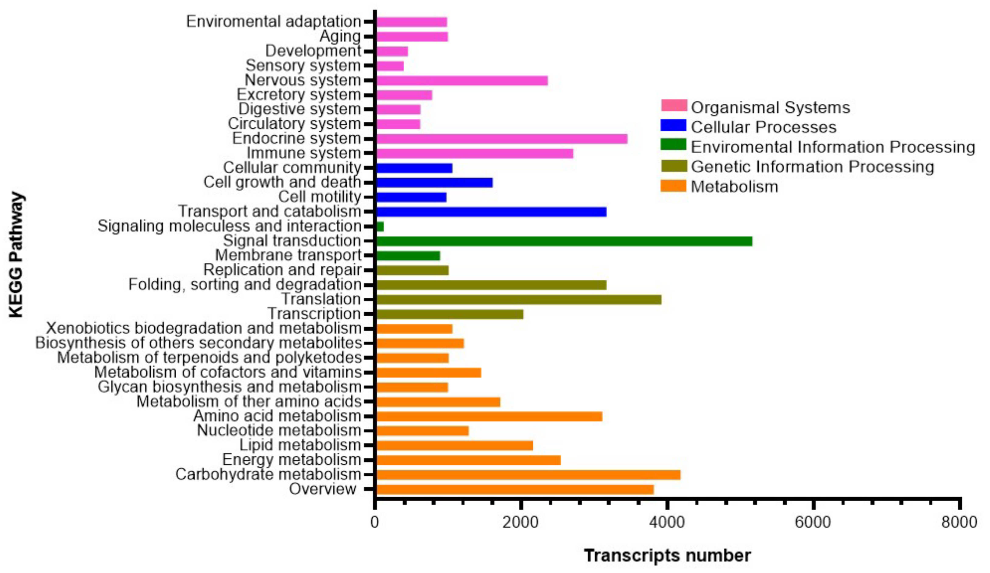 Biology 14 00145 g002