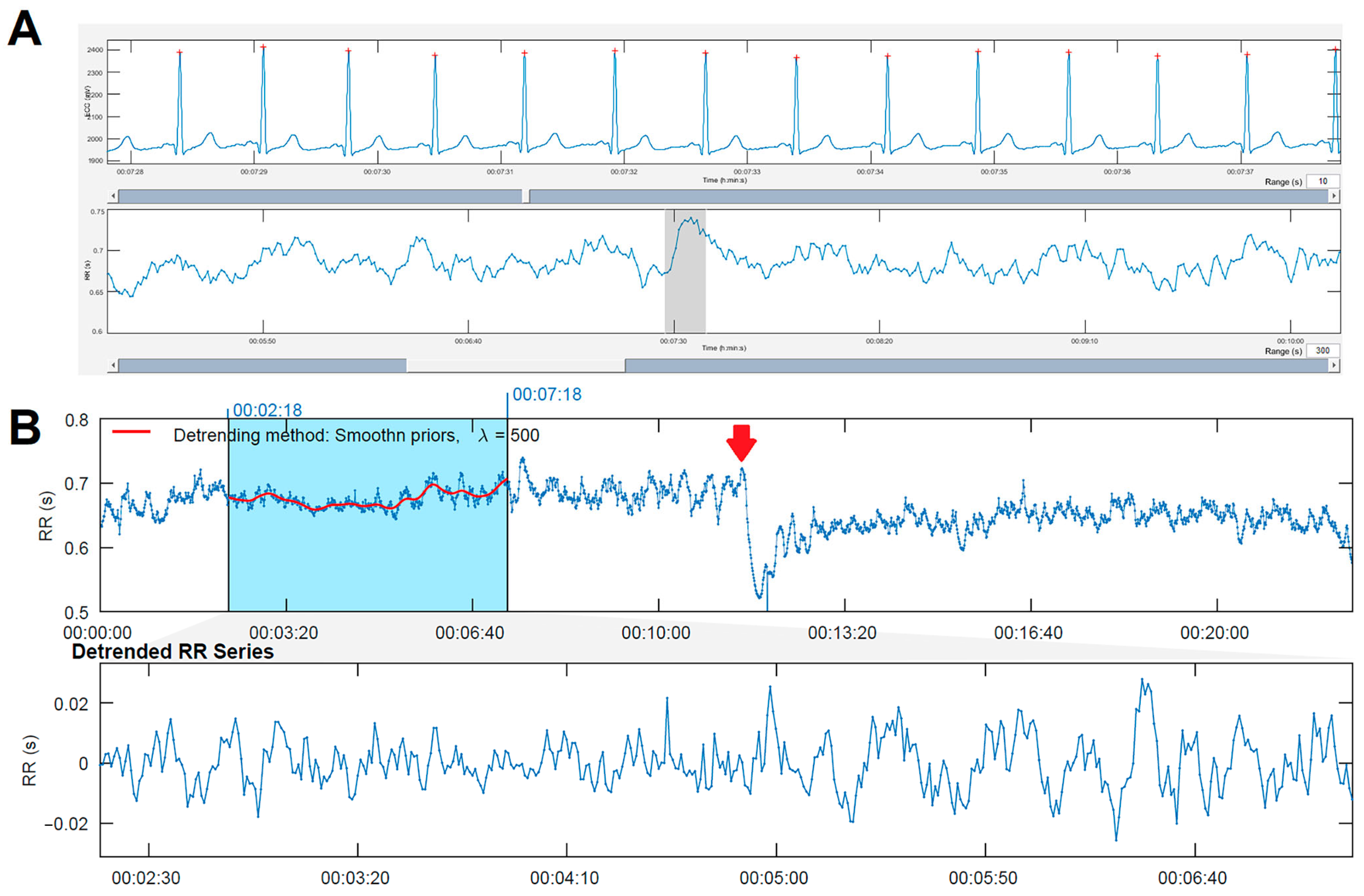 Biology 14 00146 g001
