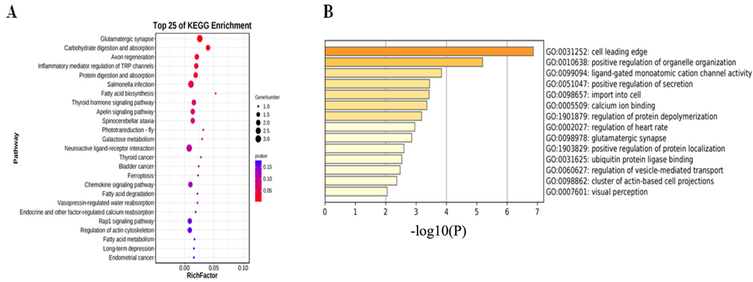 Biology 14 00154 g005 Biology 14 00154 g005