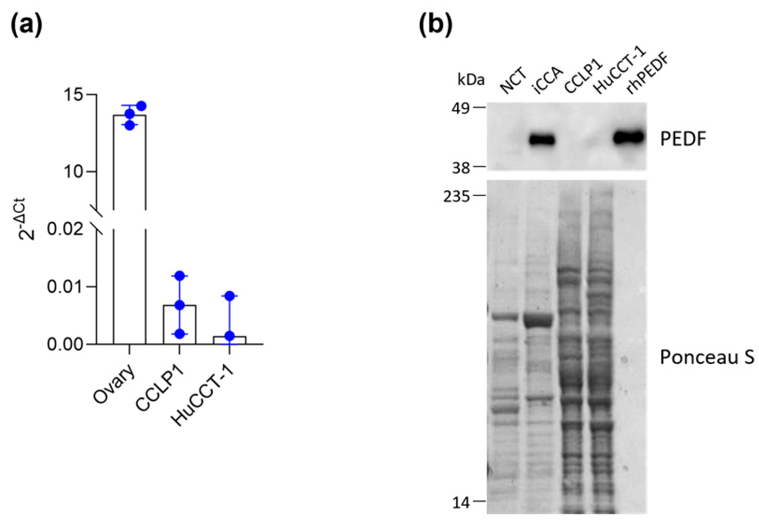 Biology 14 00155 g001
