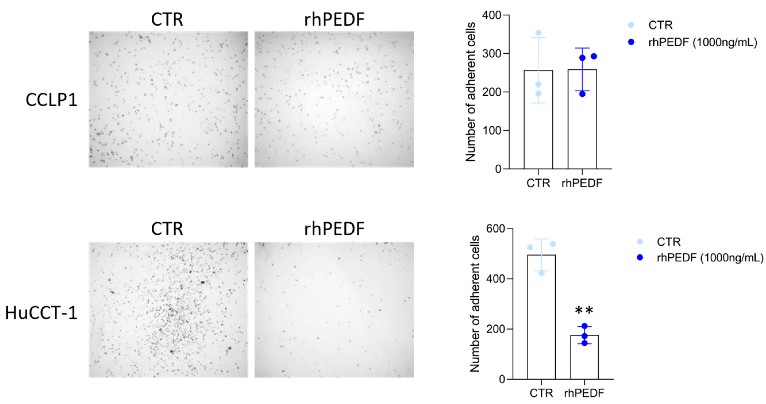 Biology 14 00155 g003