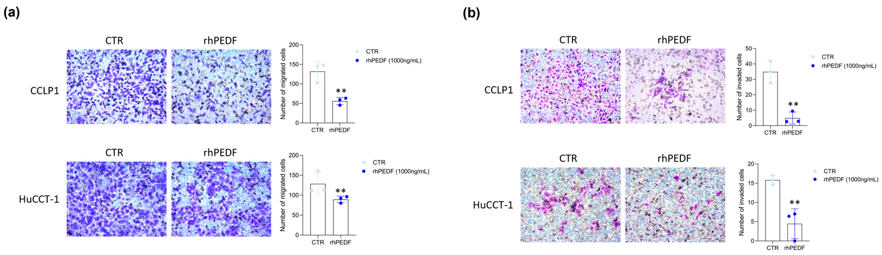 Biology 14 00155 g004