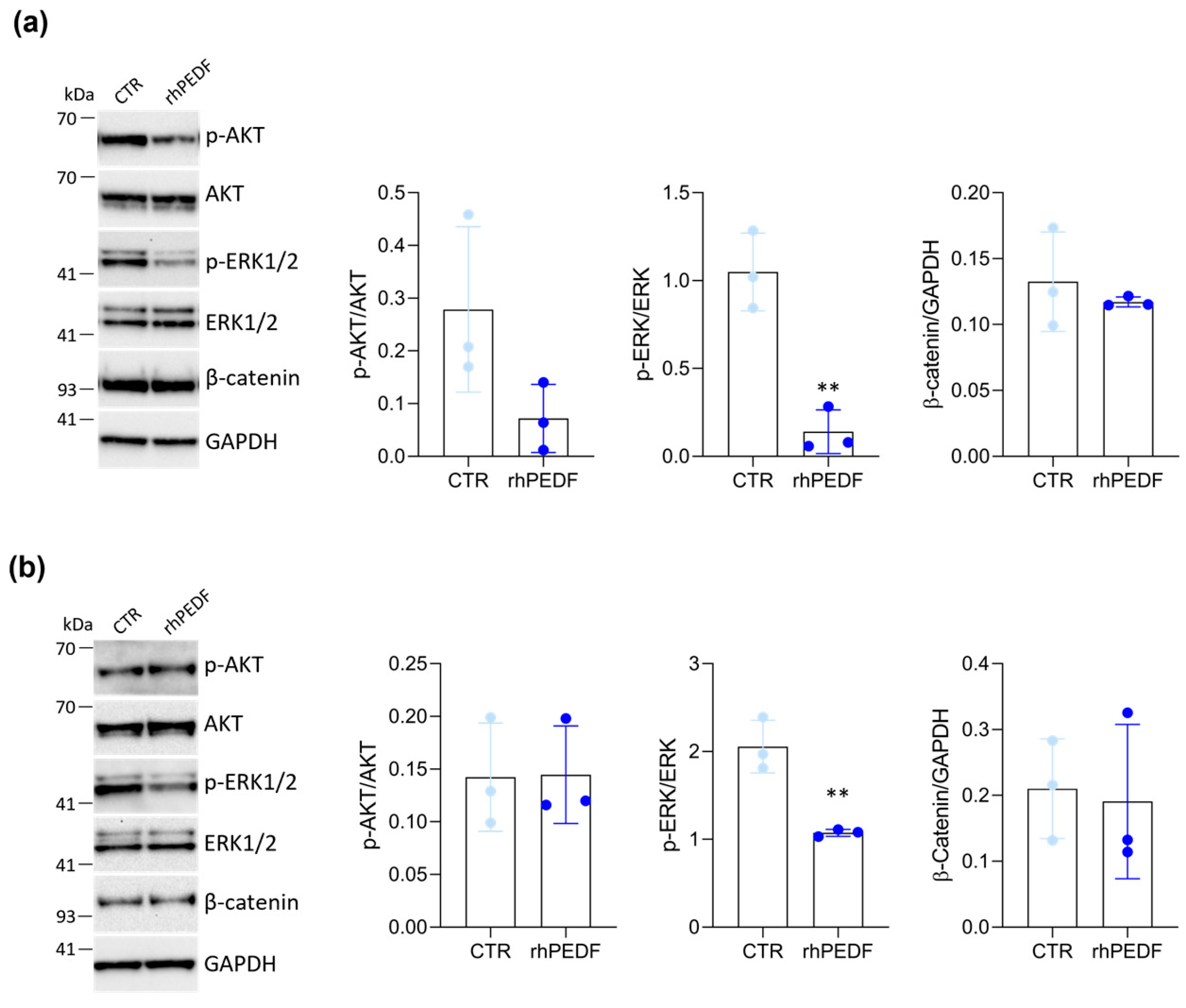 Biology 14 00155 g005