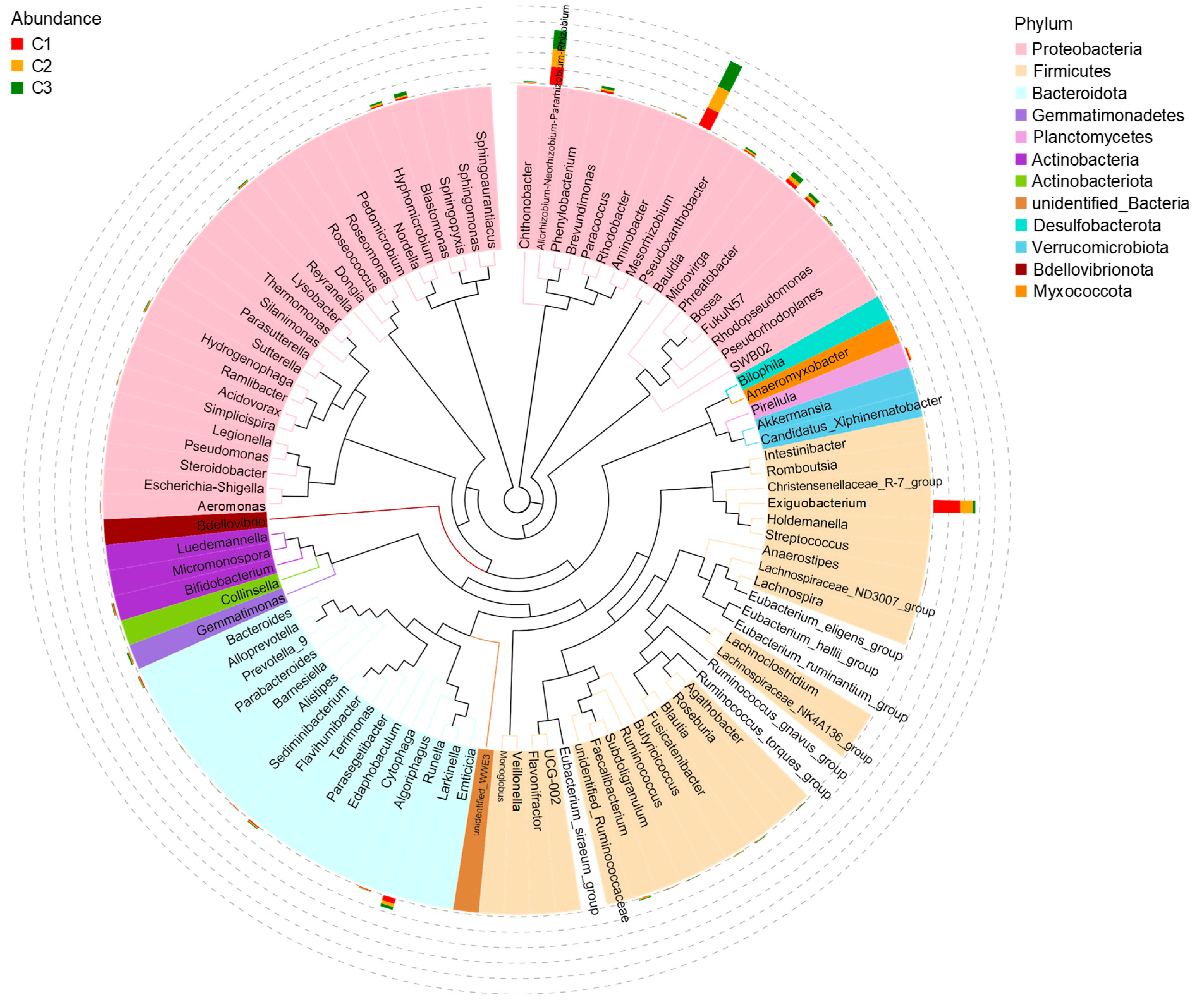 Biology 14 00157 g001