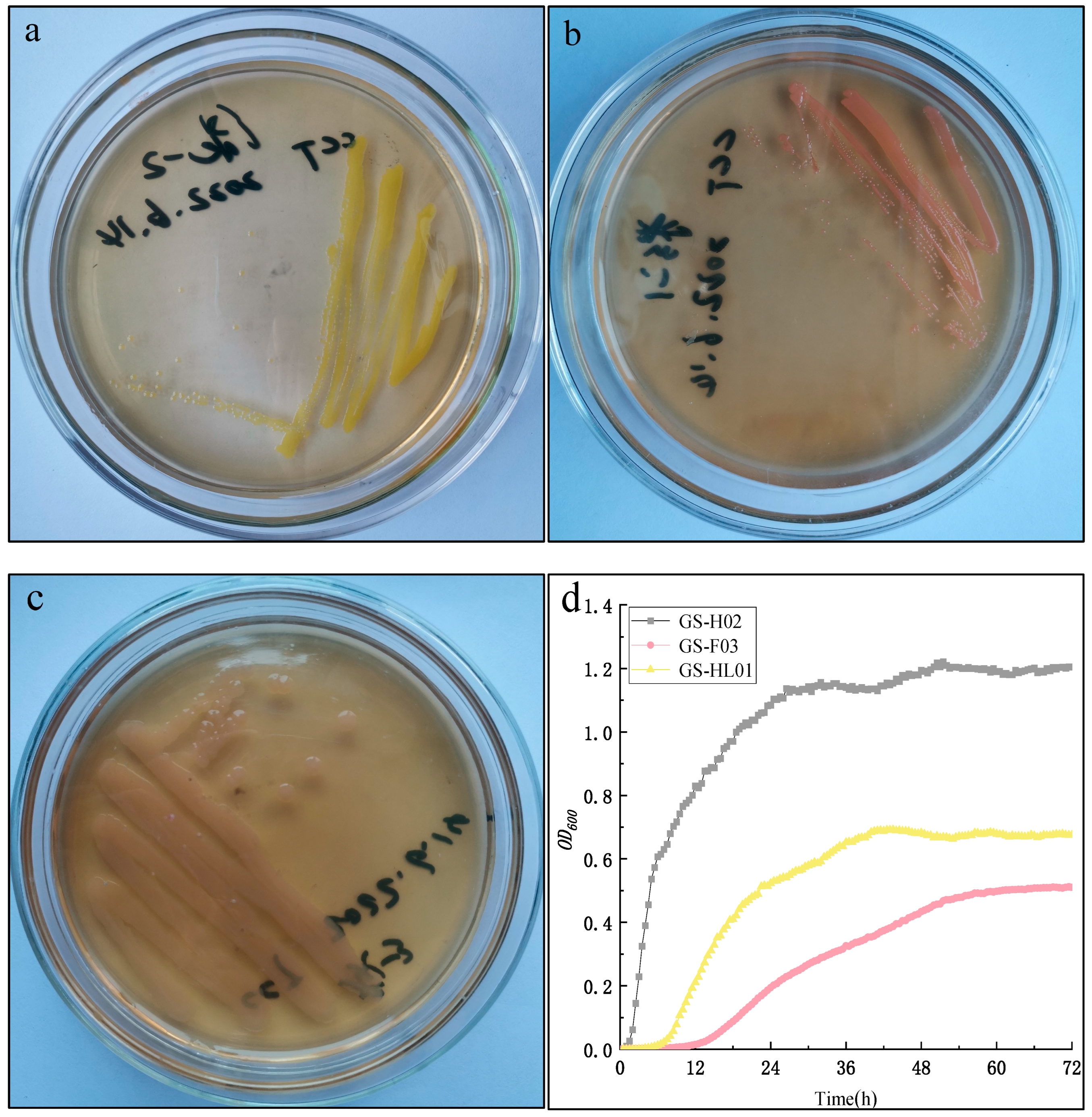 Biology 14 00157 g002