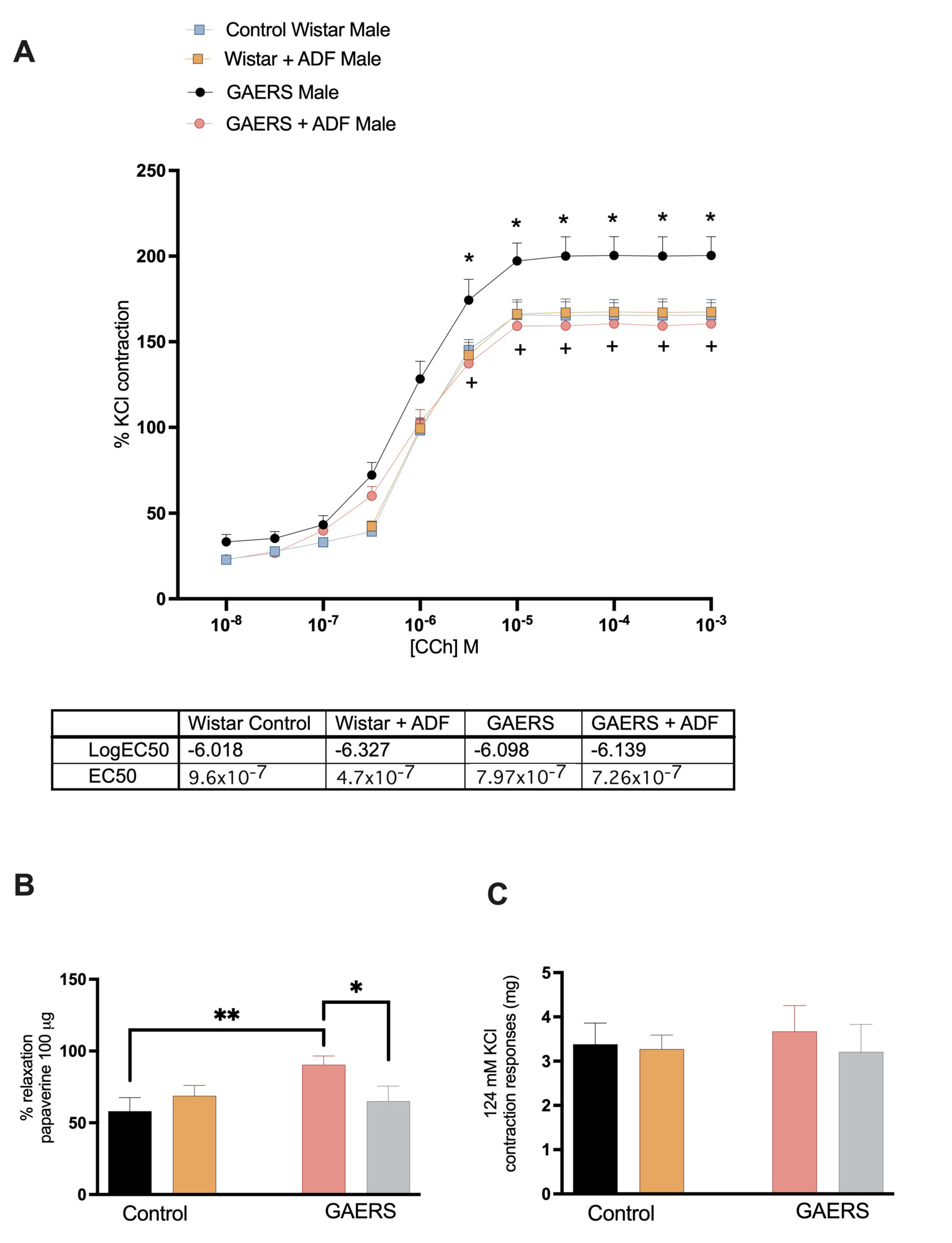 Biology 14 00158 g001
