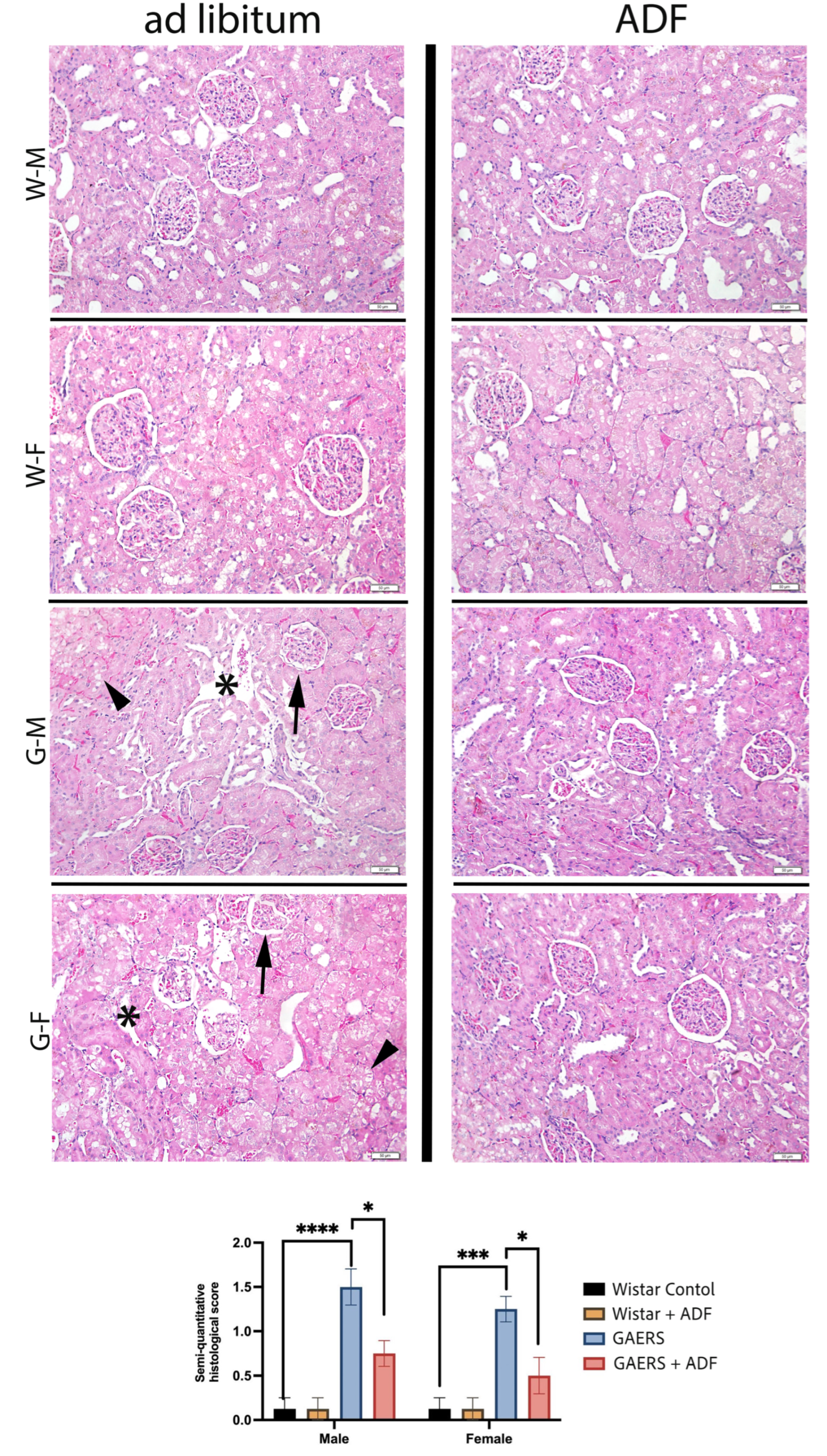 Biology 14 00158 g003
