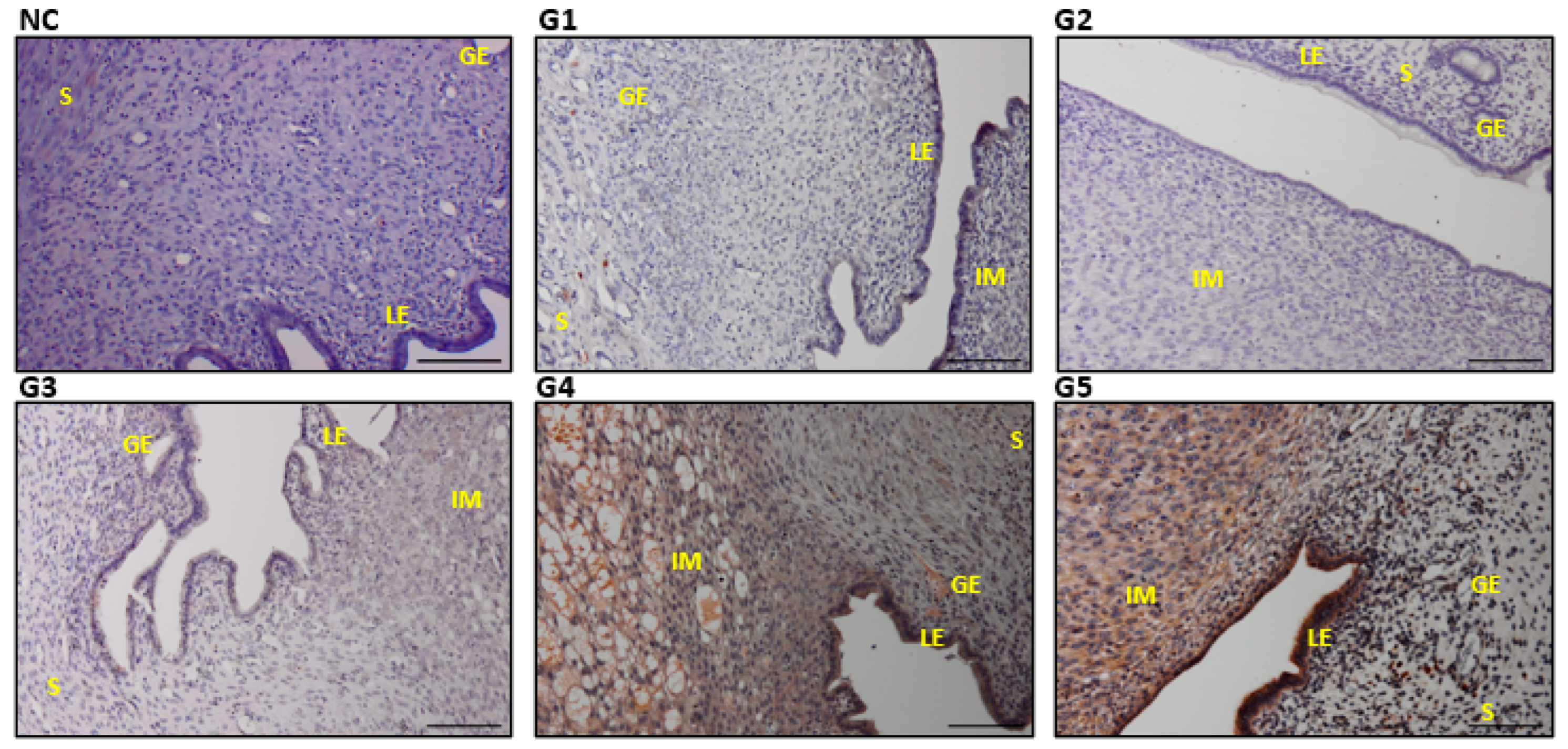Biology 14 00159 g007