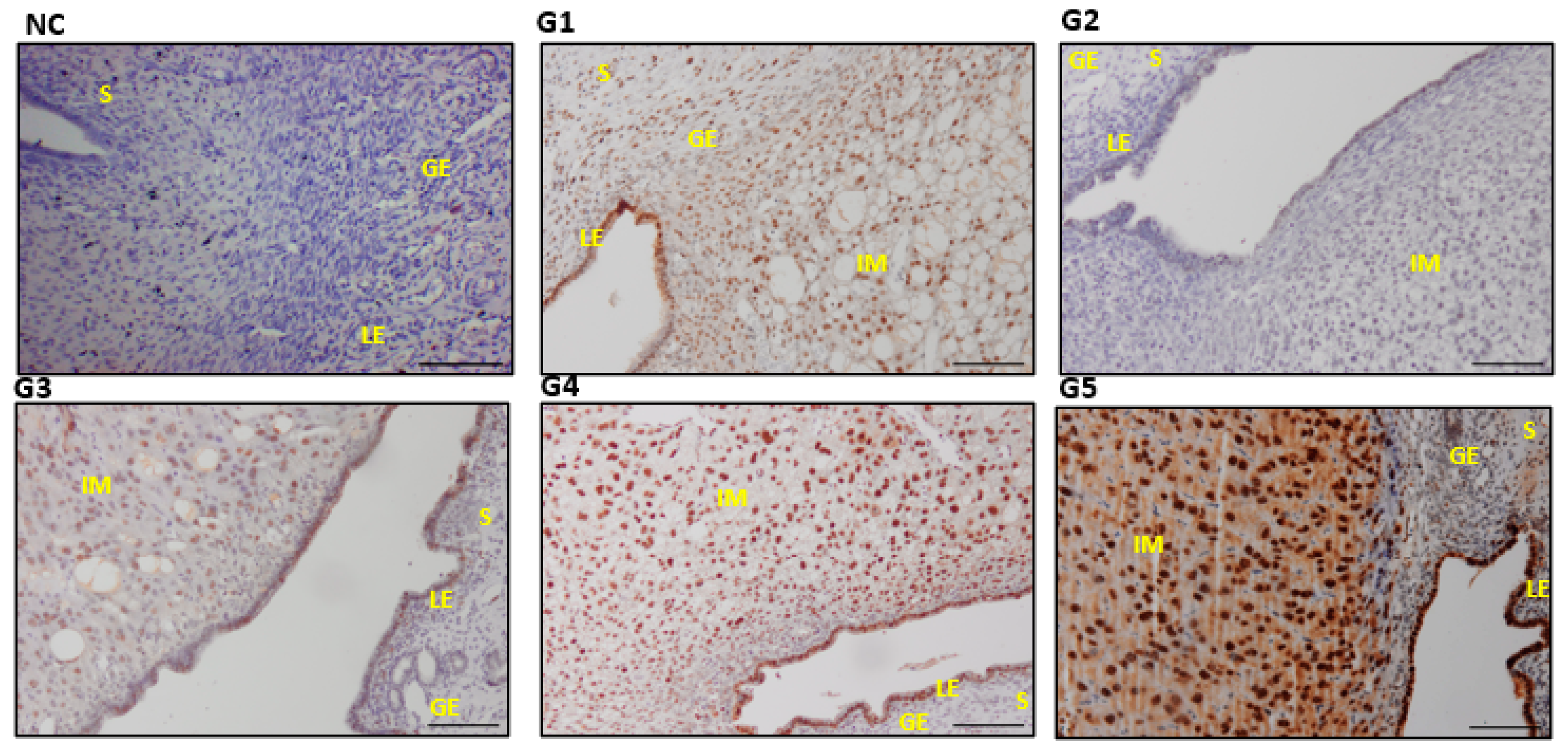 Biology 14 00159 g010